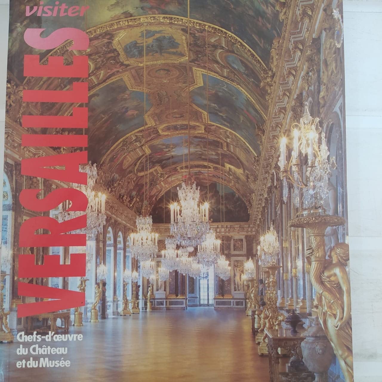 VISITER VERSAILLES: CHEFS-D OEUVRE DU CHATEAU ET DU MUSEE book