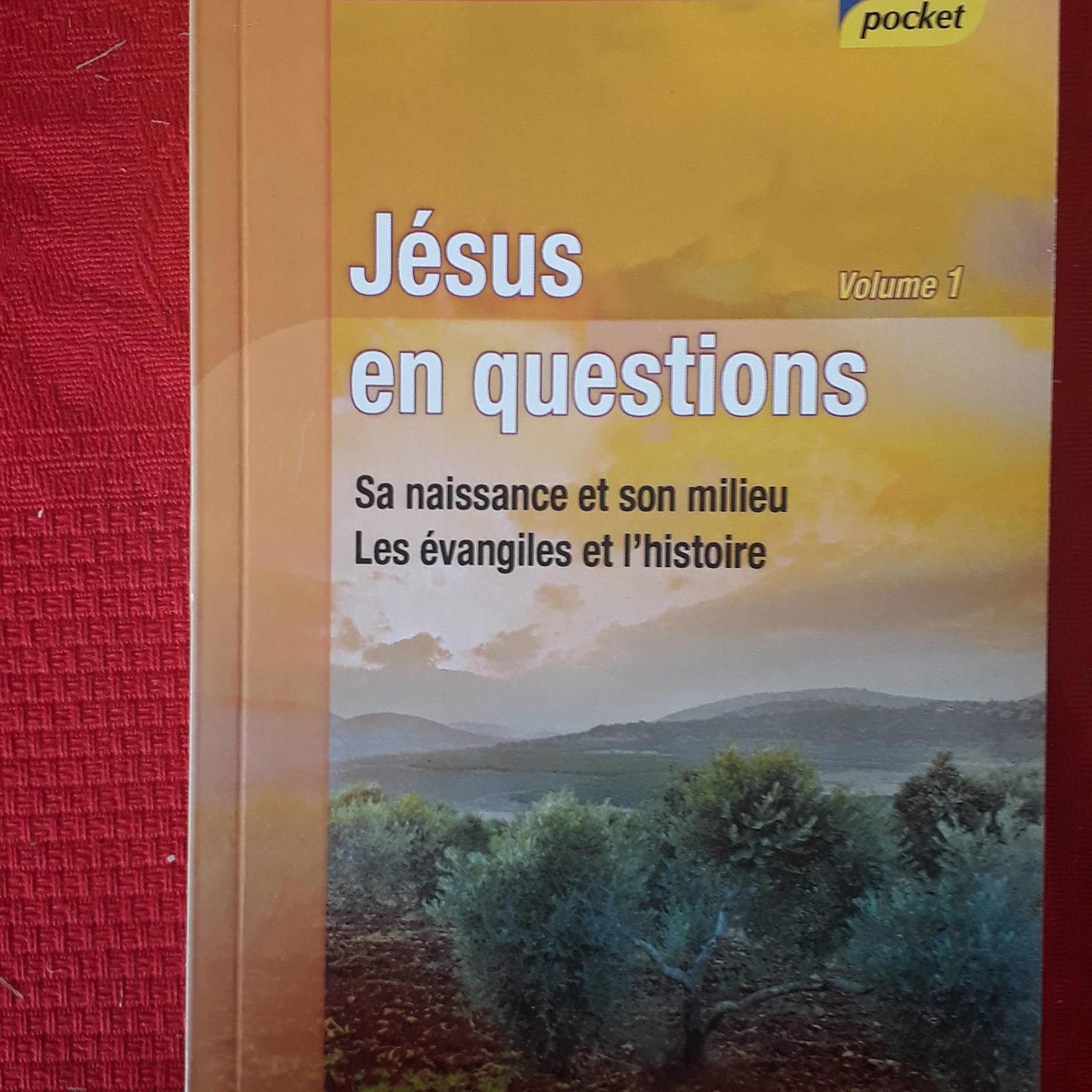 Jésus en questions vol 1 book