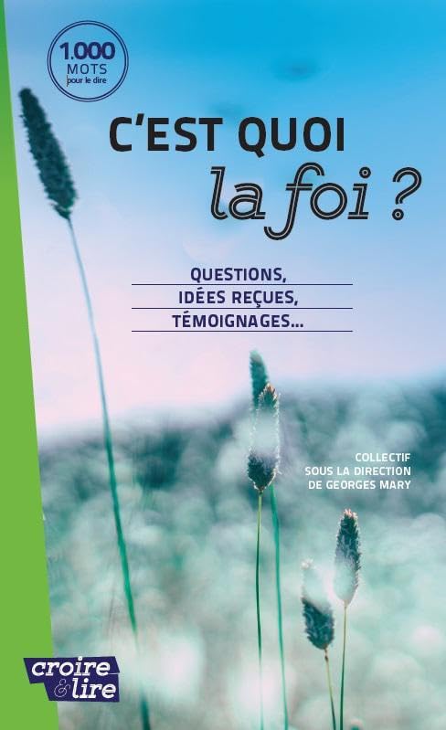 C'est quoi la foi ?: Questions, idées reçues, témoignages... book