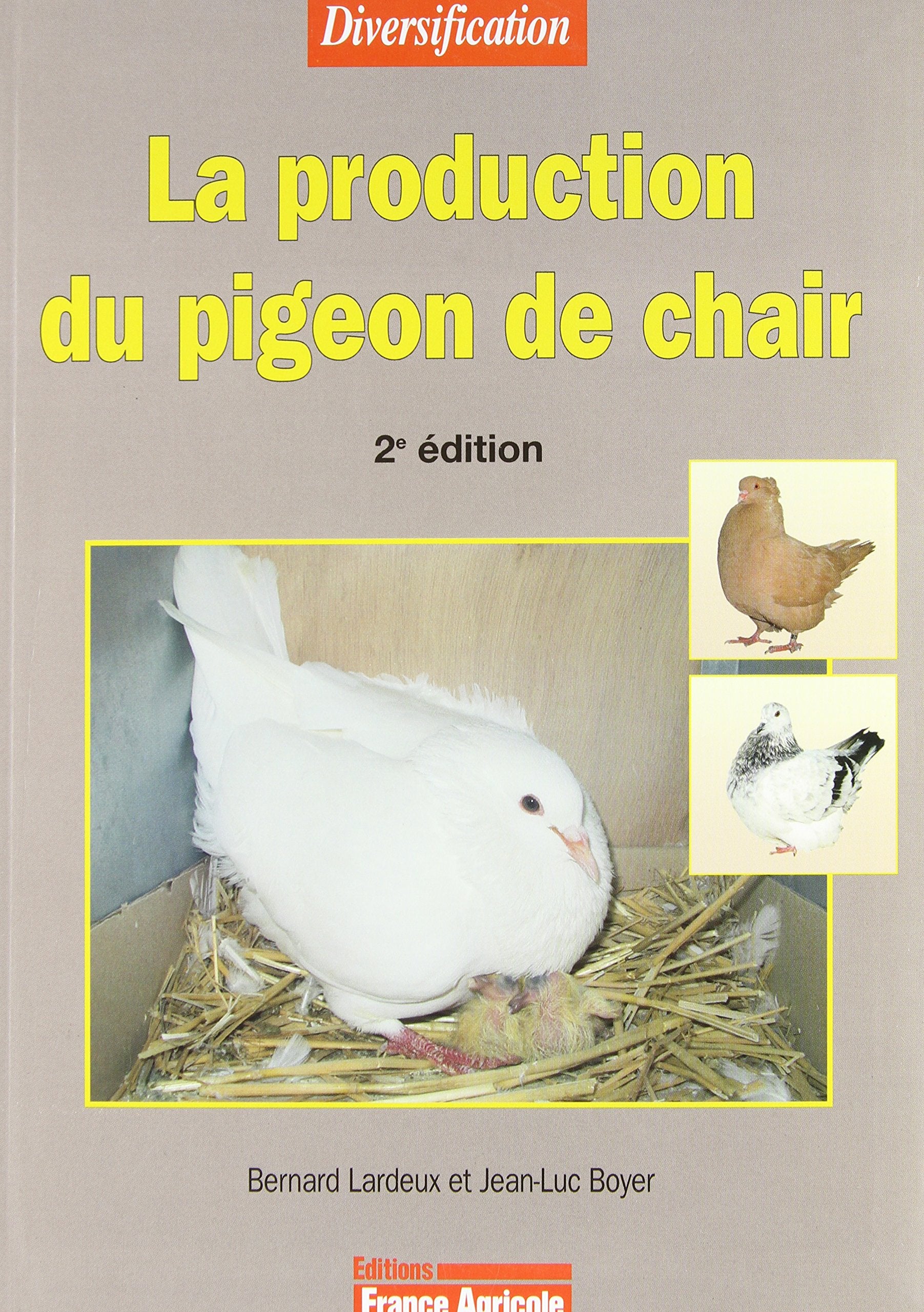 La production du pigeon de chair - 2ème édition book