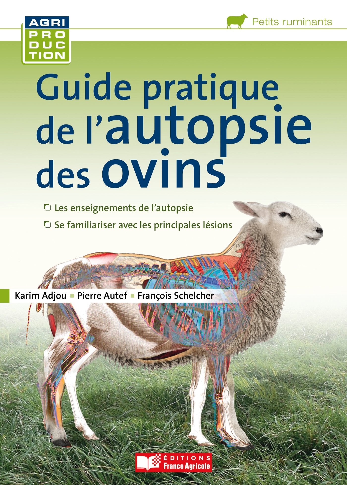Guide pratique de l'autopsie des ovins book