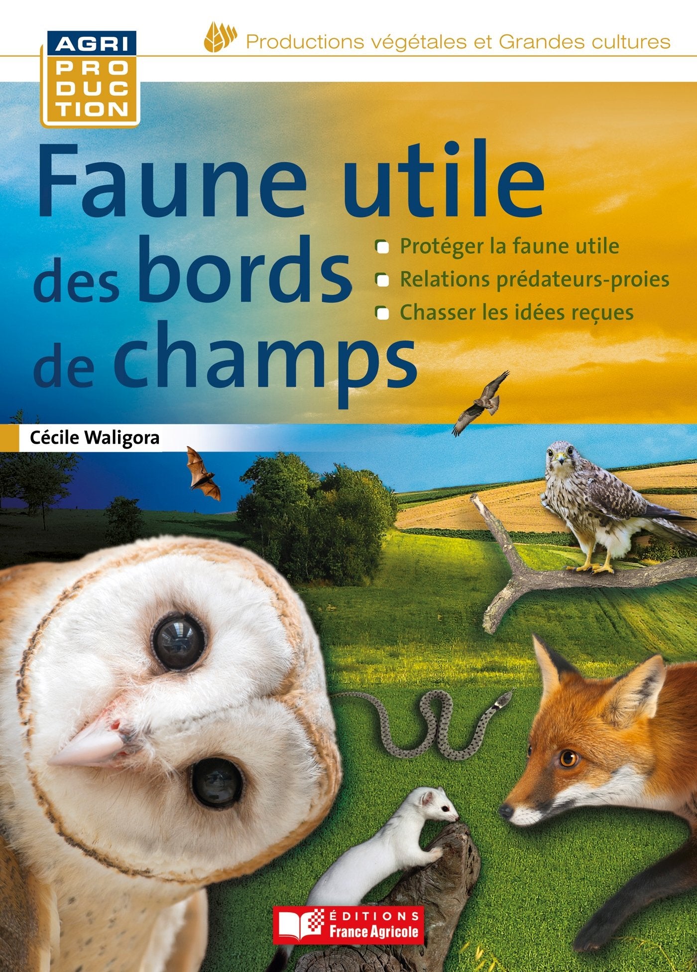 Faune utile des bords de champs: En finir avec les idées reçues Books