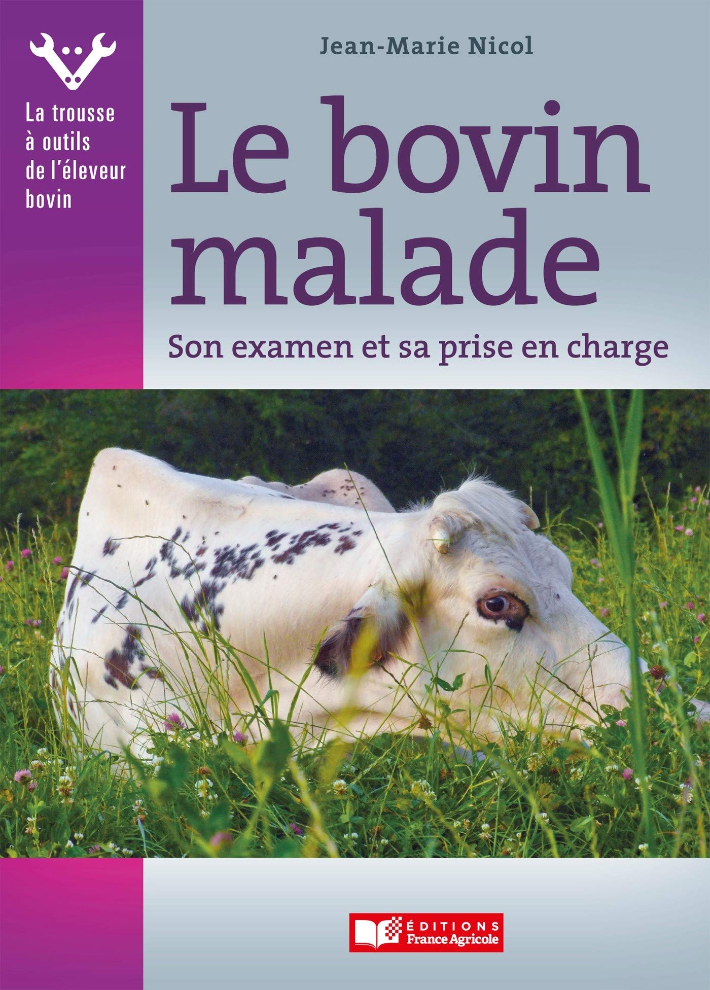 Le Bovin malade: Son examen et sa prise en charge book