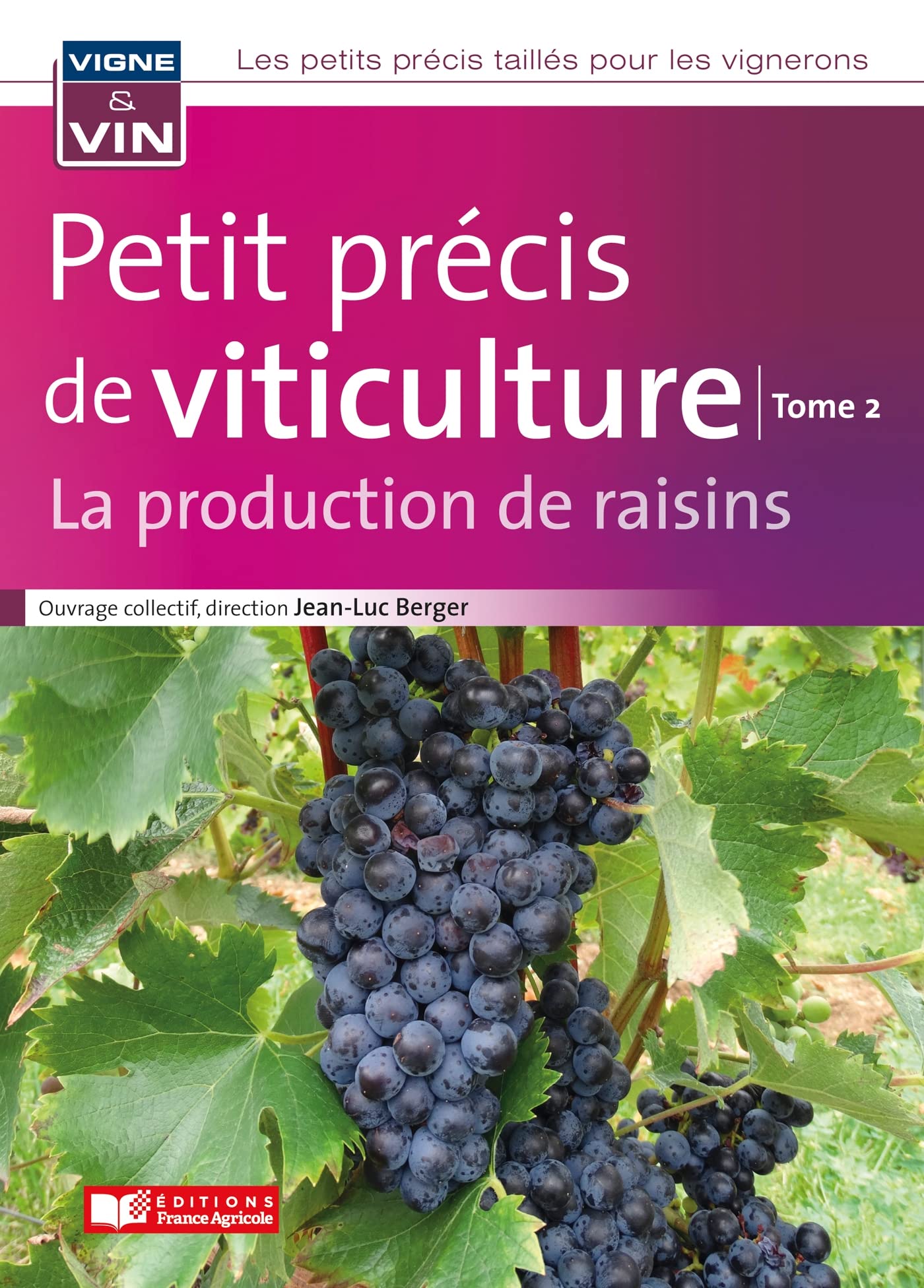 Petit précis de viticulture Tome 2: La production de raisins Books