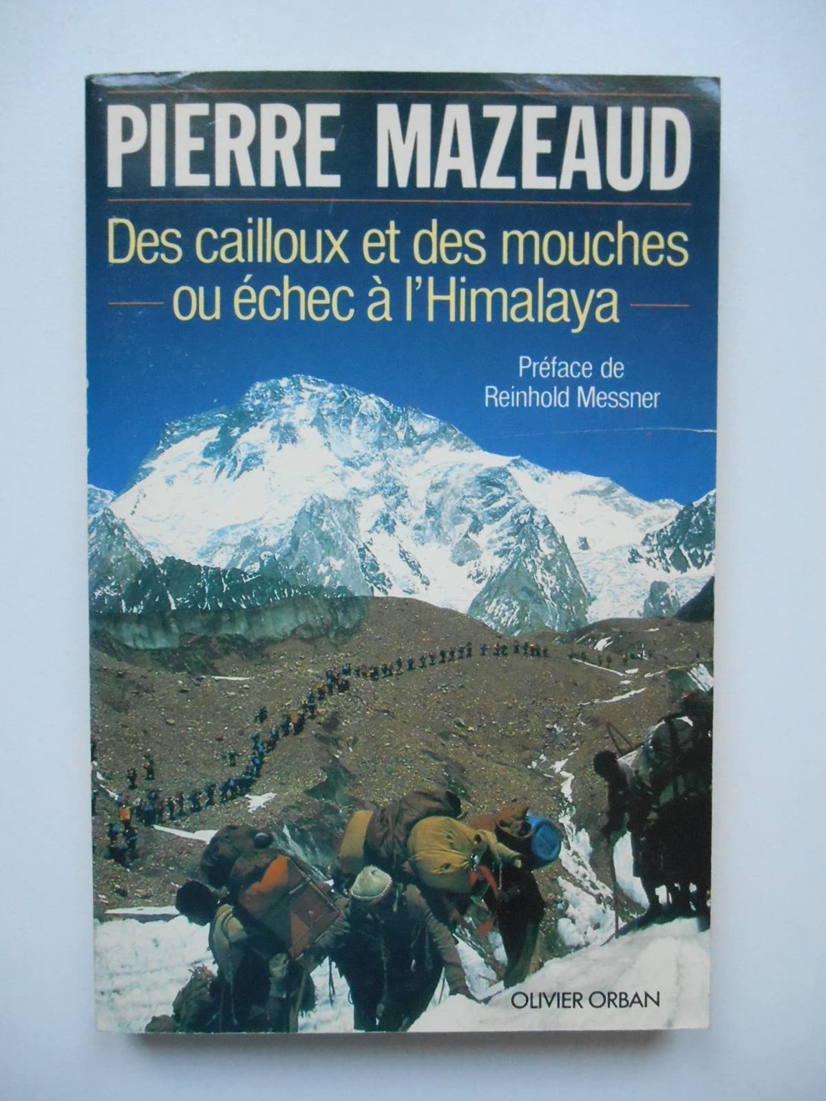 Des cailloux et des mouches ou échec a l'Himalaya book