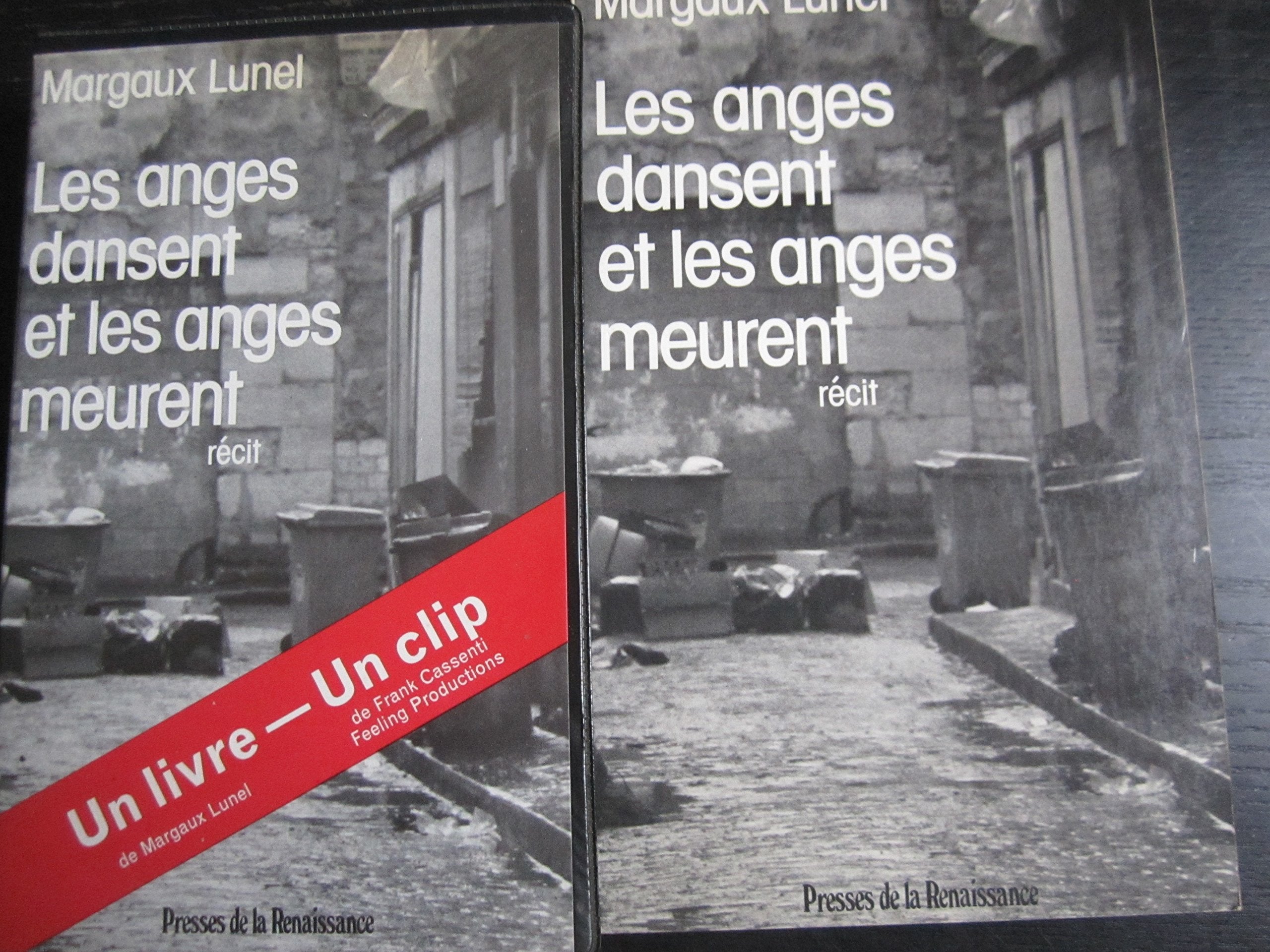Les anges dansent et les anges meurent : recit book