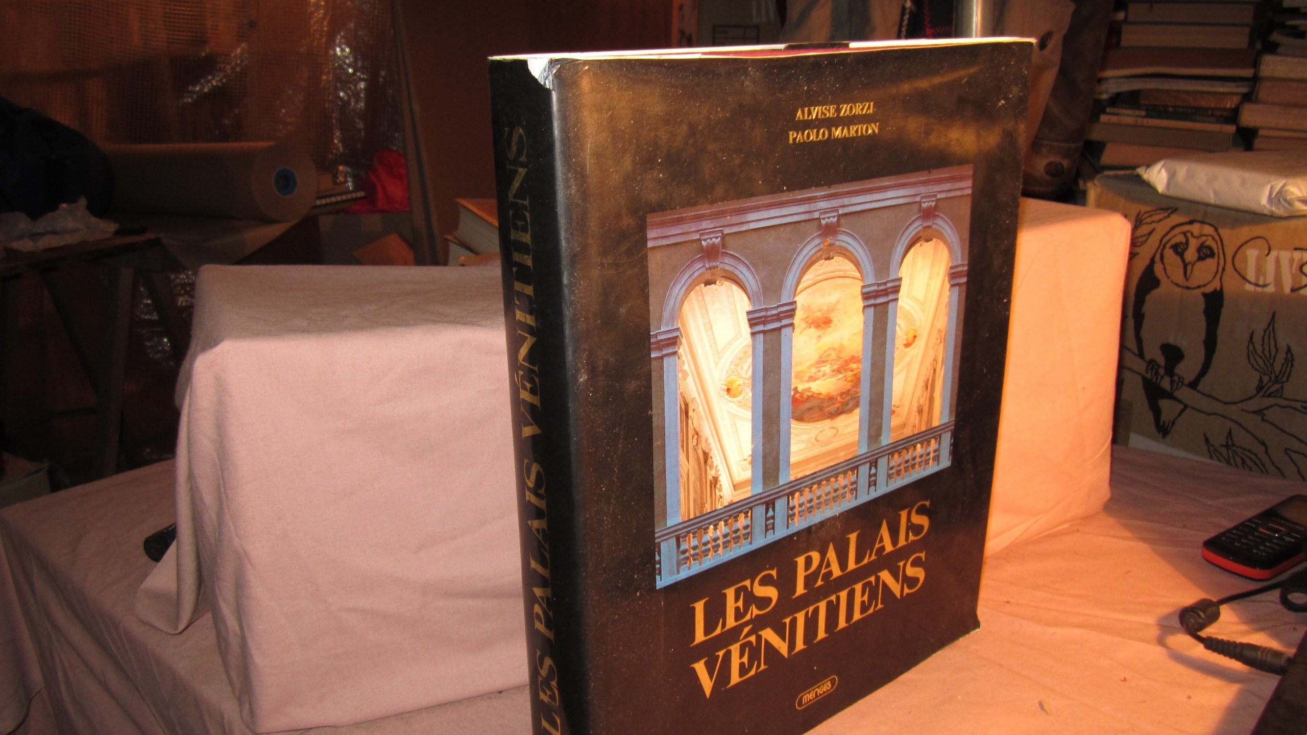 Les palais venitiens (Beaux Livres) Books