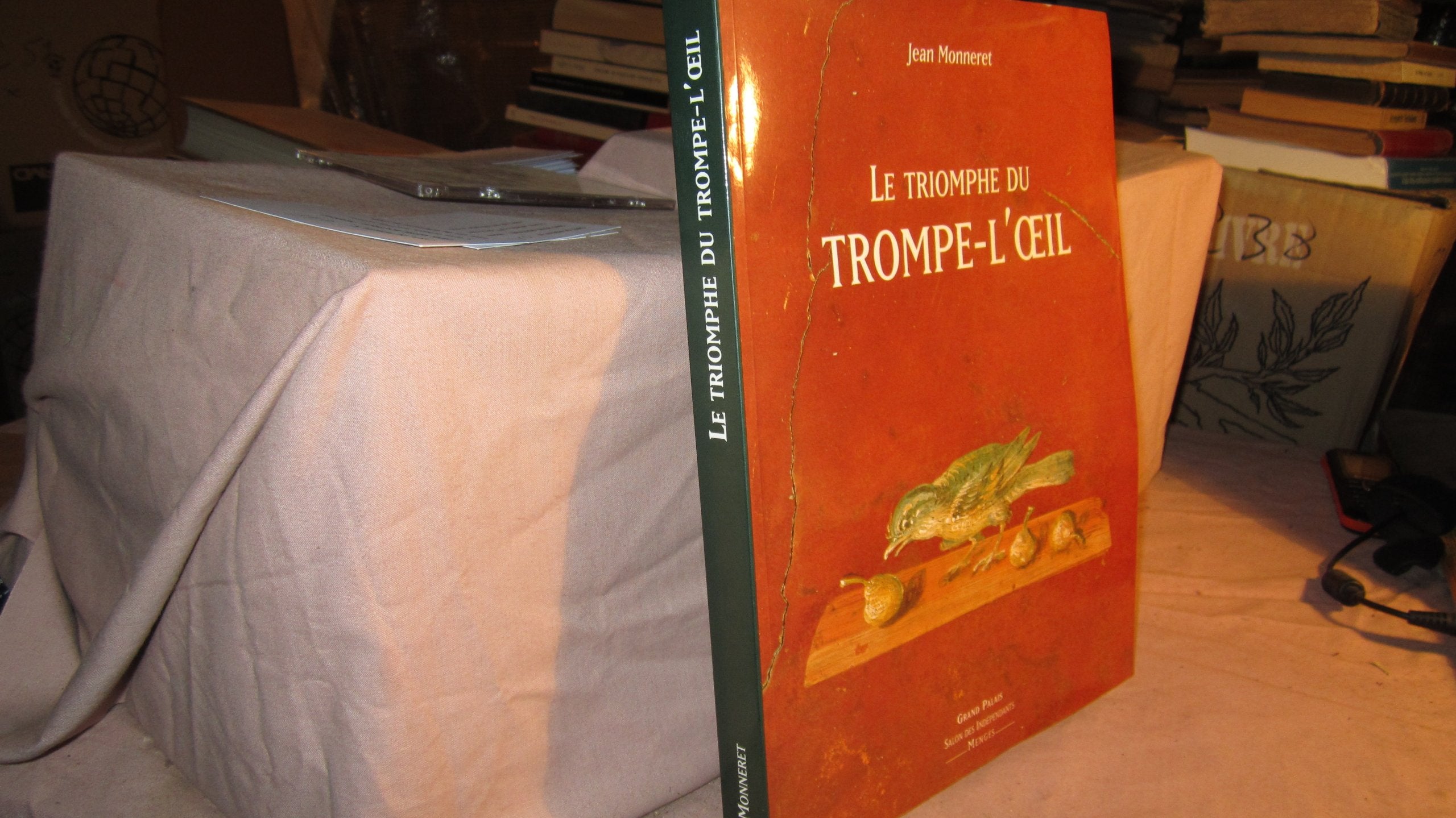 Le triomphe du trompe l'oeil 081794 (Beaux Livres) Film, Art & Culture