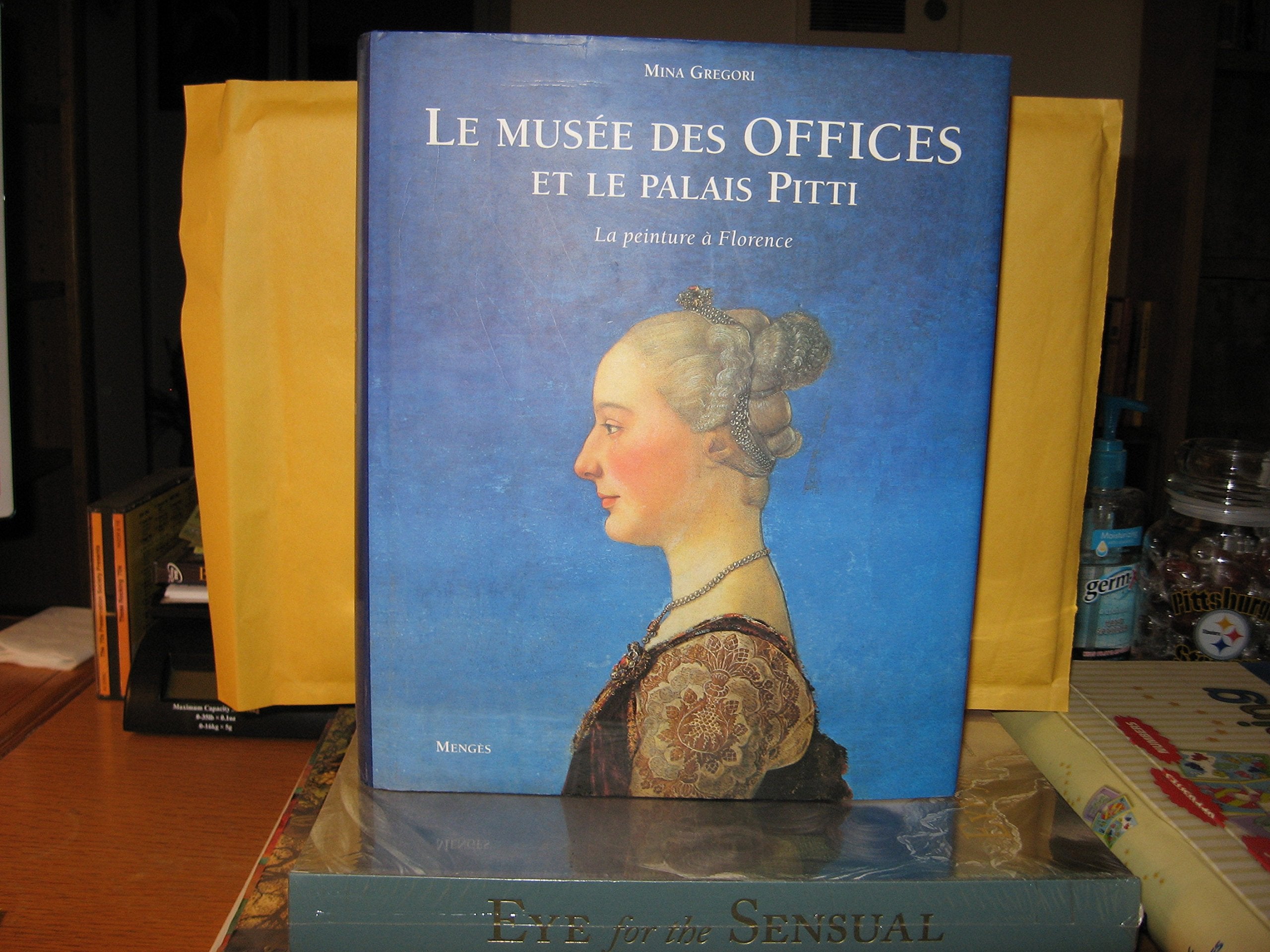 Le Musée des Offices et le Palais Pitti: La peinture à Florence book