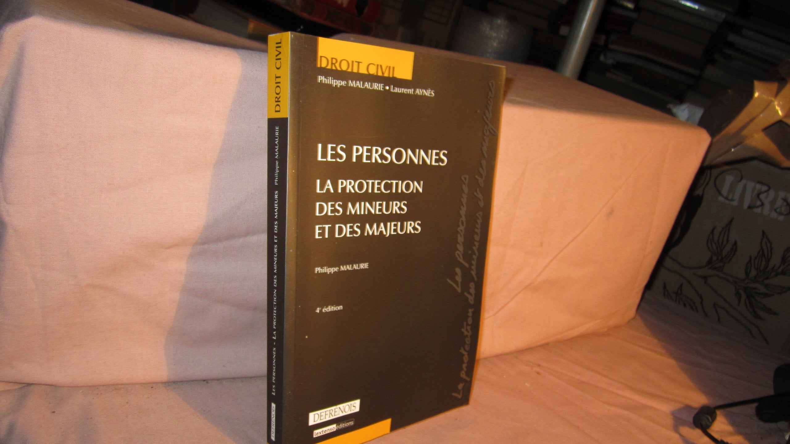 Les personnes: La protection des mineurs et des majeurs book