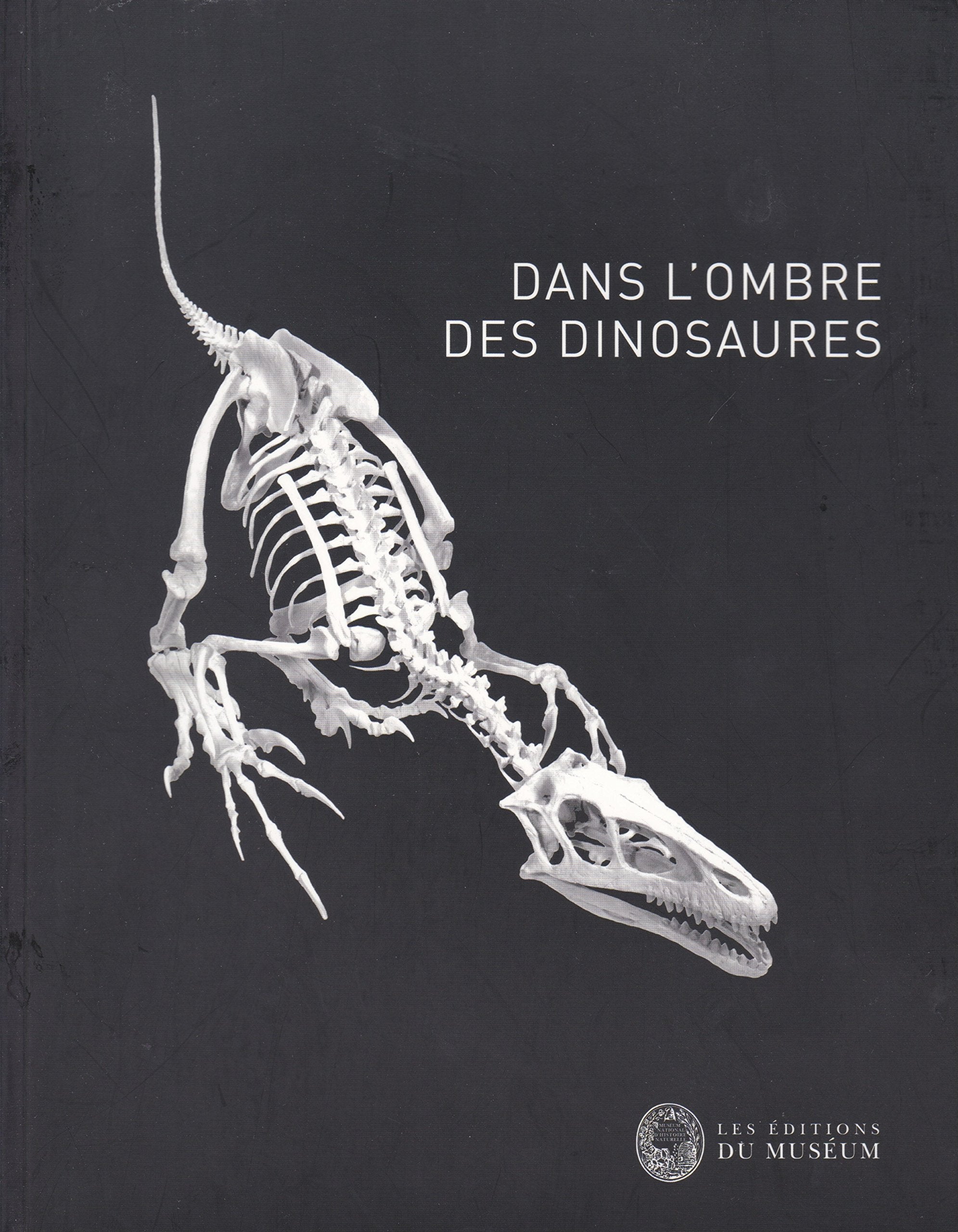 Dans l'ombre des dinosaures book