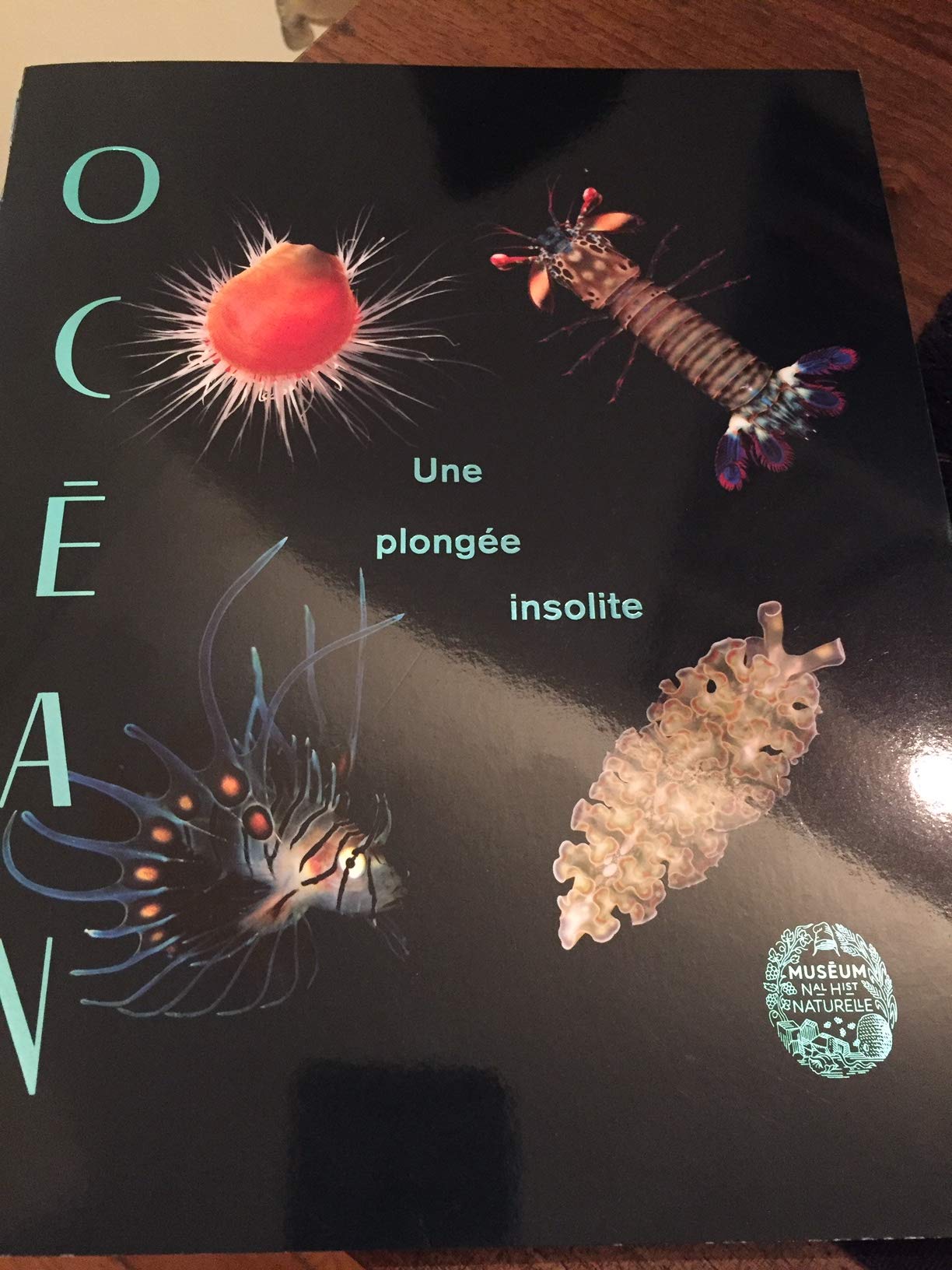 Océan, Une plongée insolite book
