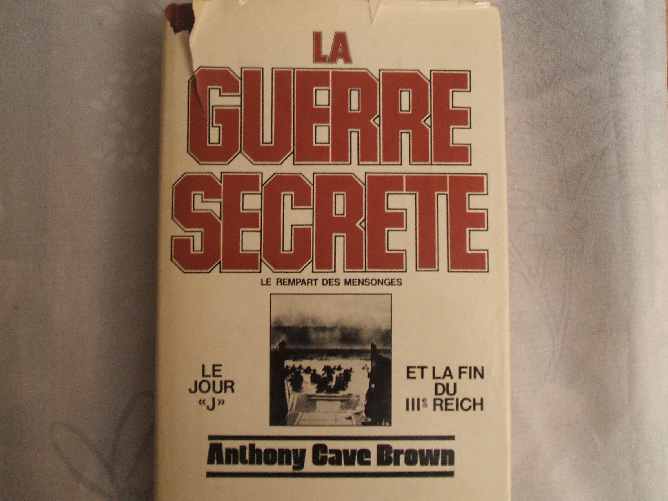 La Guerre secrète : le rempart des mensonges. Vol. 2. Le Jour J et la fin du IIIe Reich Politics & History