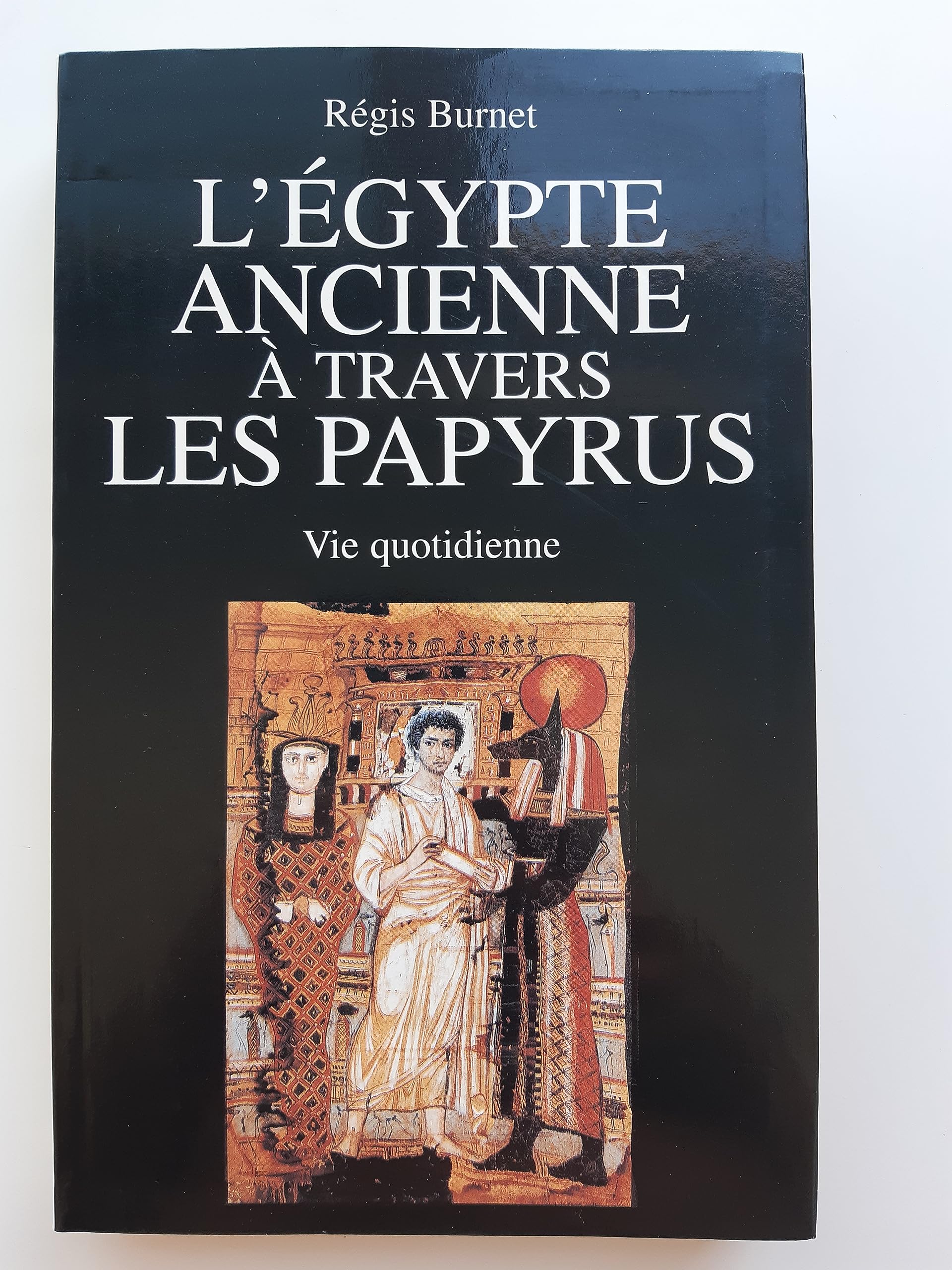 L'Égypte ancienne à travers les papyrus: Vie quotidienne Politics & History