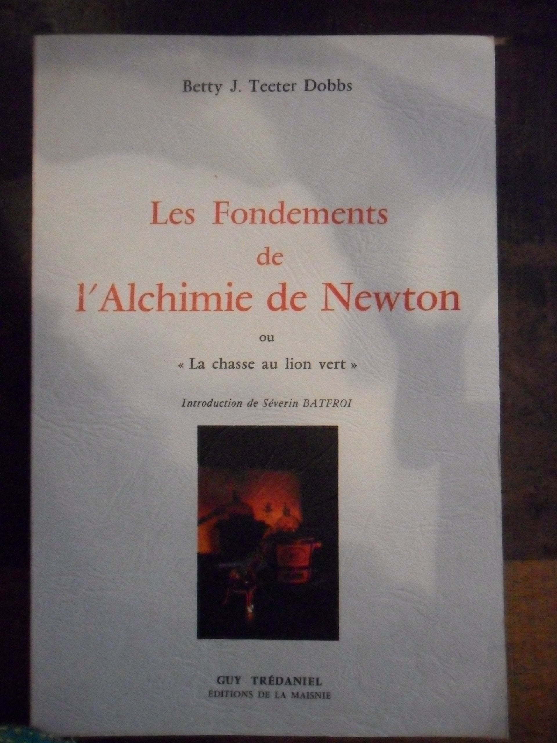 Les fondements de l'alchimie de Newton ou La chasse au lion vert book