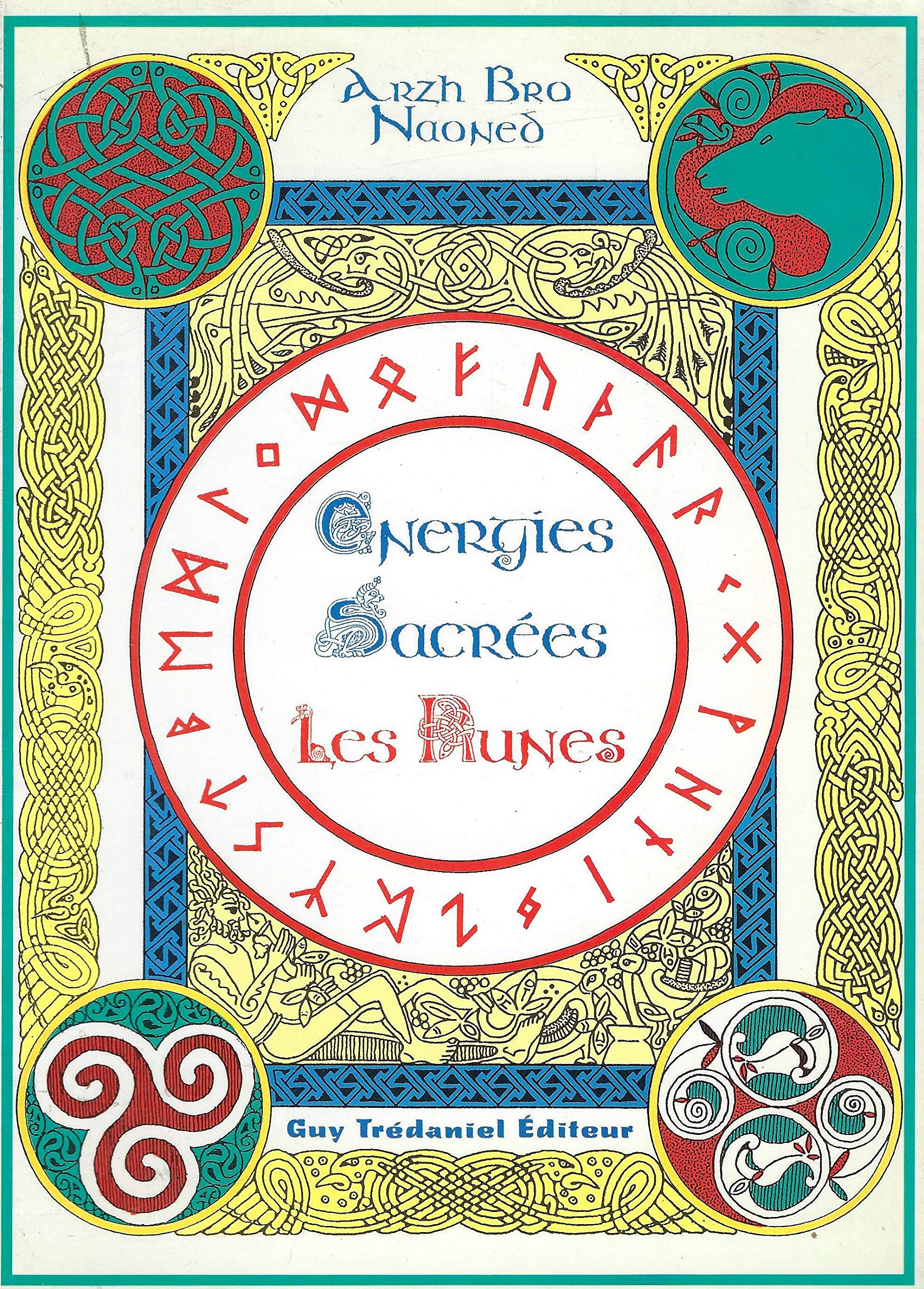 Energies sacrées, les runes book
