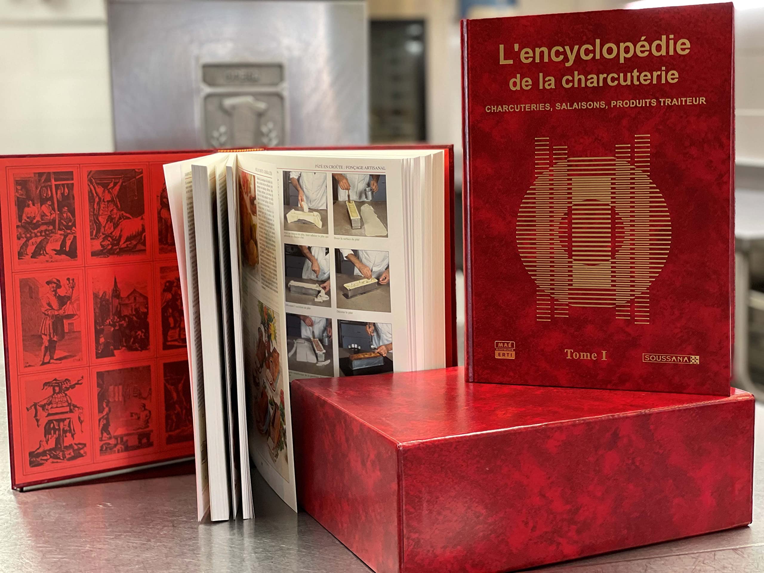 Encyclopédie de la Charcuterie - Tomes 1 & 2: EDITIONS MAE ERTI - BPI Books