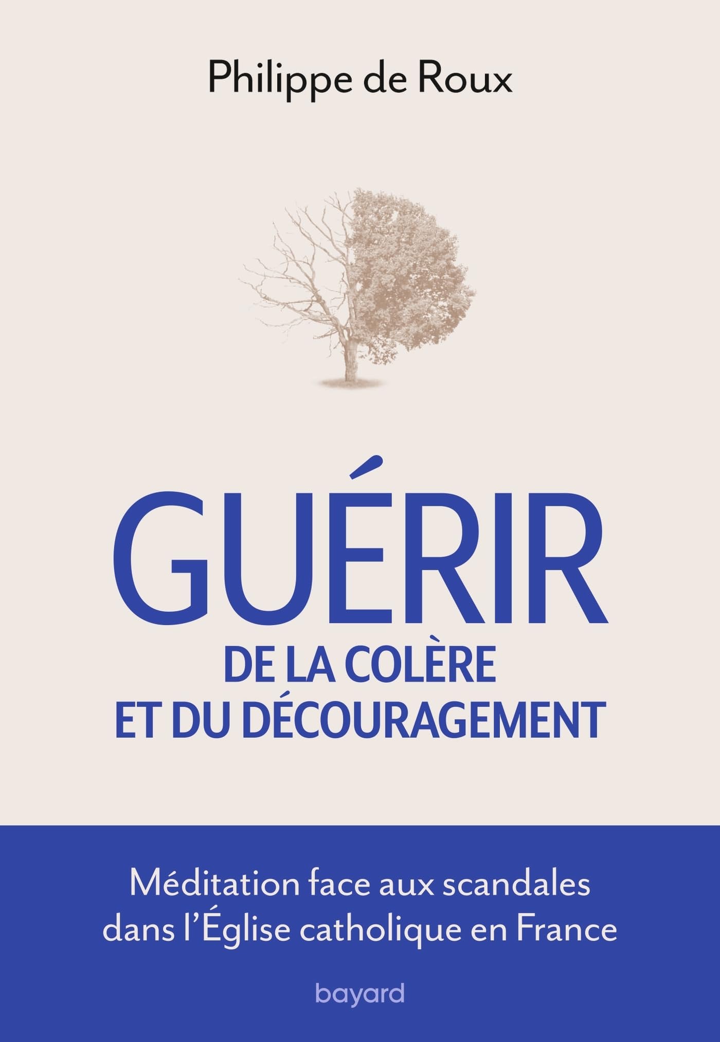 Guérir de la colère et du découragement - Méditation face aux scandales de l'Eglise Catholique book