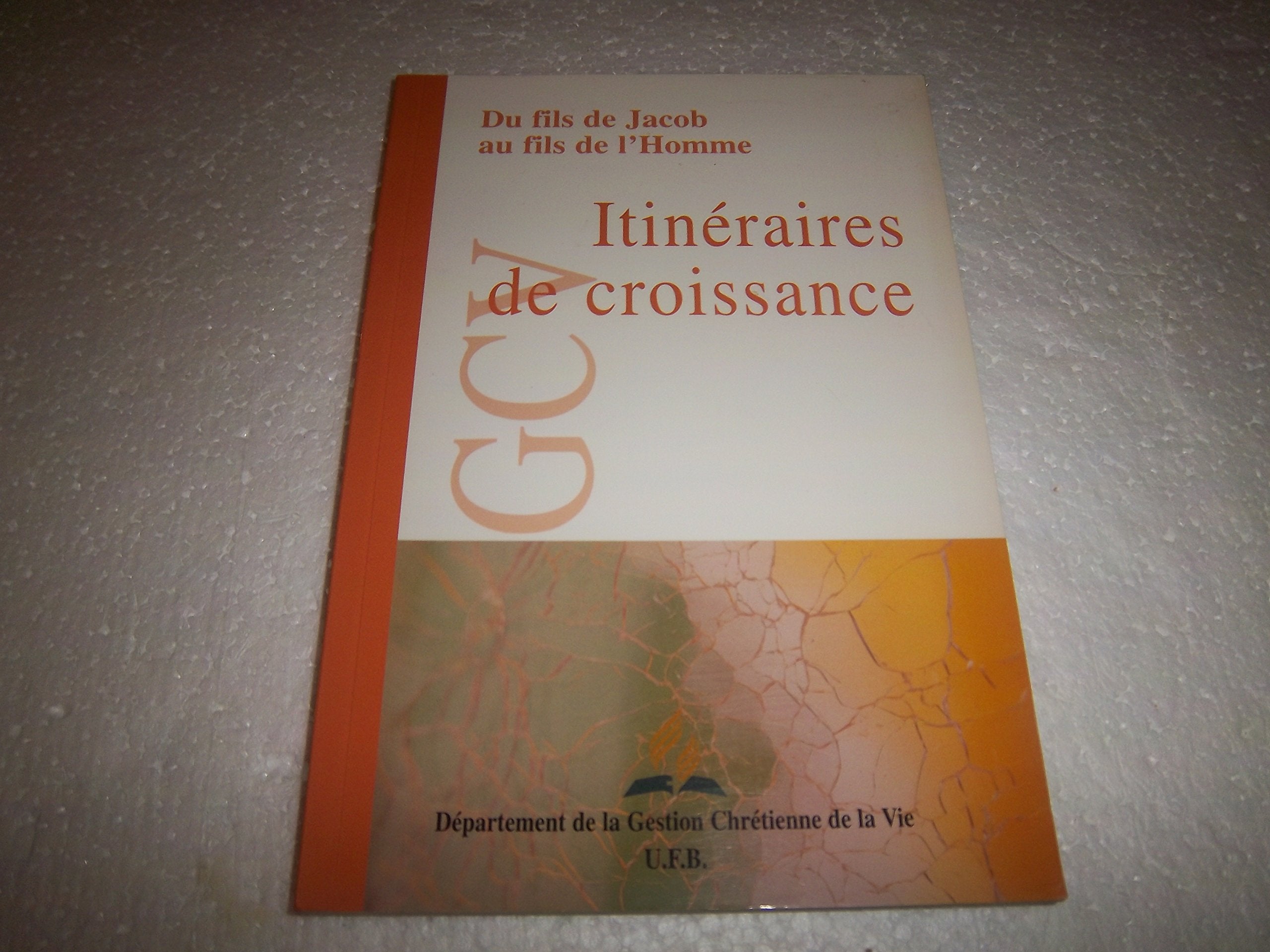 Itinéraires de croissance : Du fils de Jacob au fils de l'Homme book