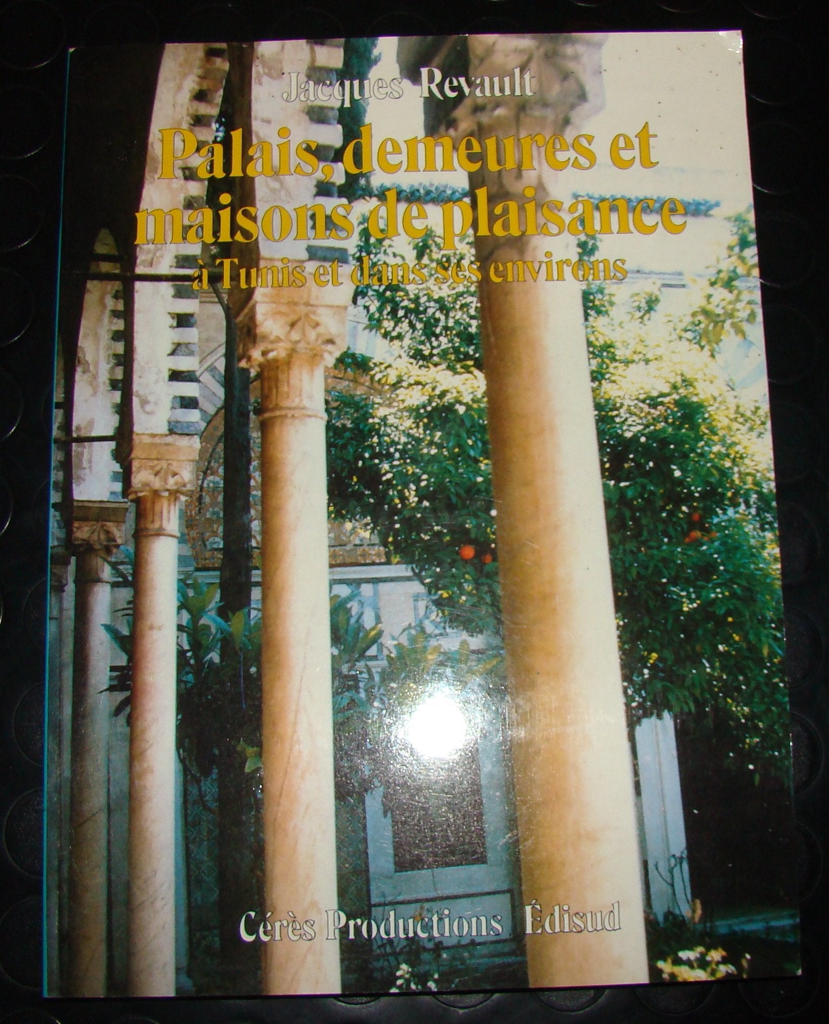 Palais, demeures et maisons de plaisance de Tunis et de ses environs Books