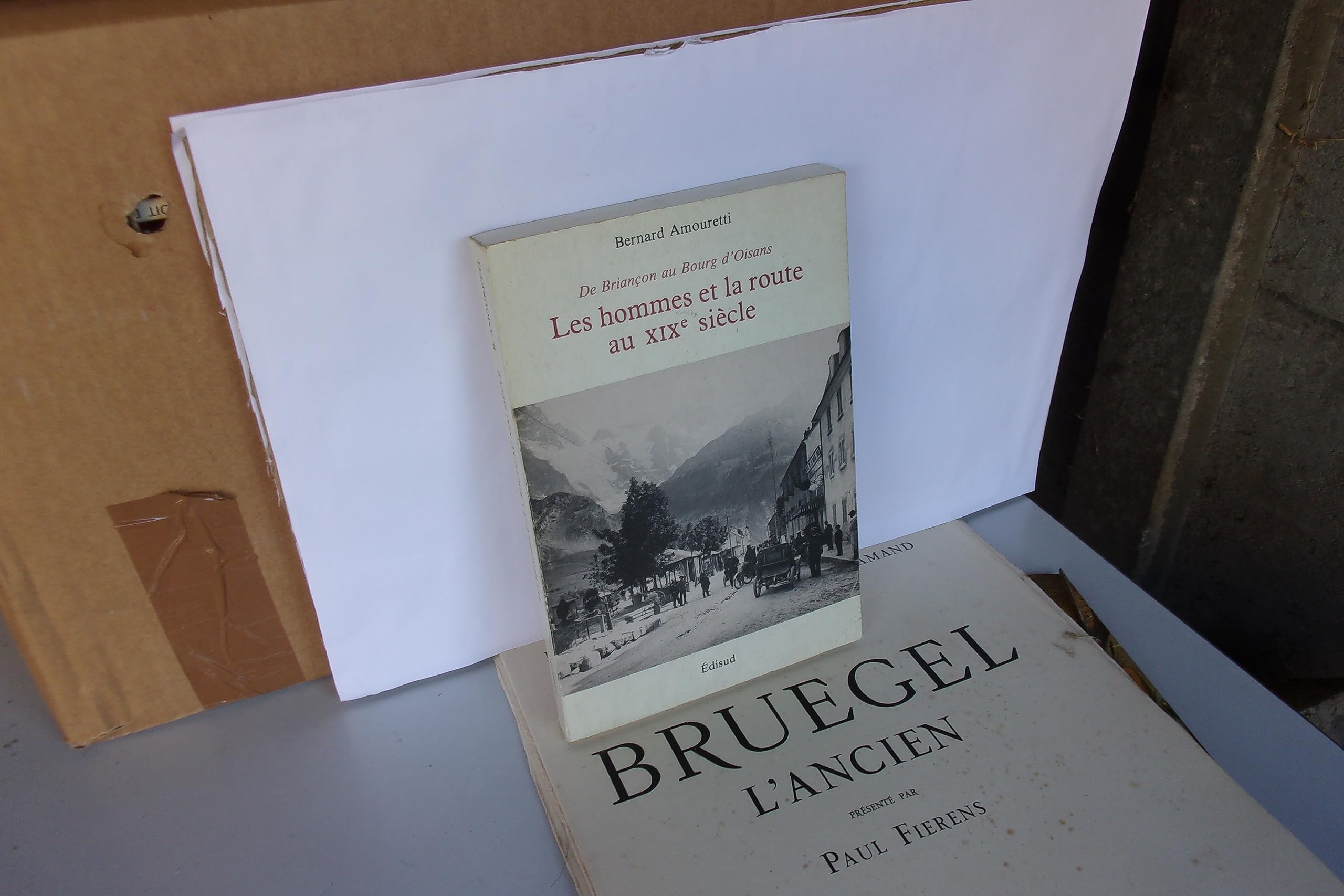 Les Hommes et la route au XIXe siècle : de Briançon au Bourg d'Oisans Books