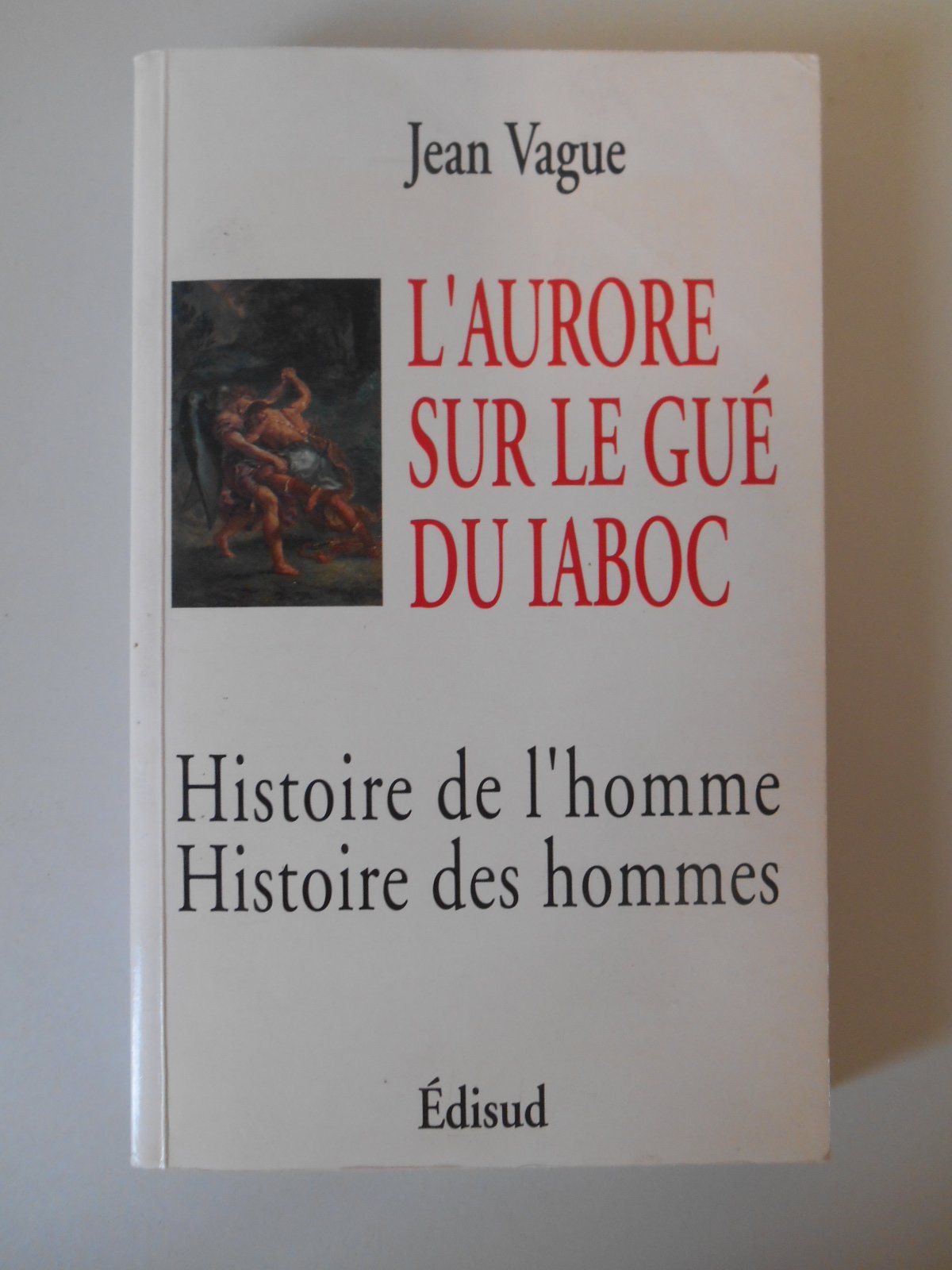 L'aurore sur le gué du Iaboc Books