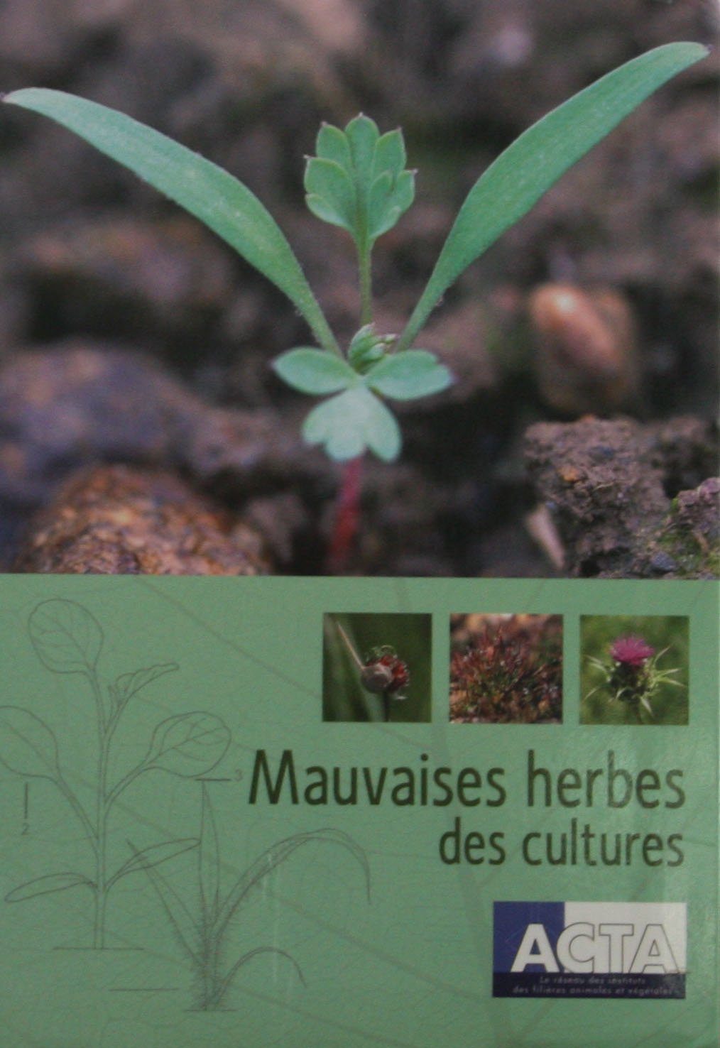 Mauvaises herbes des cultures book