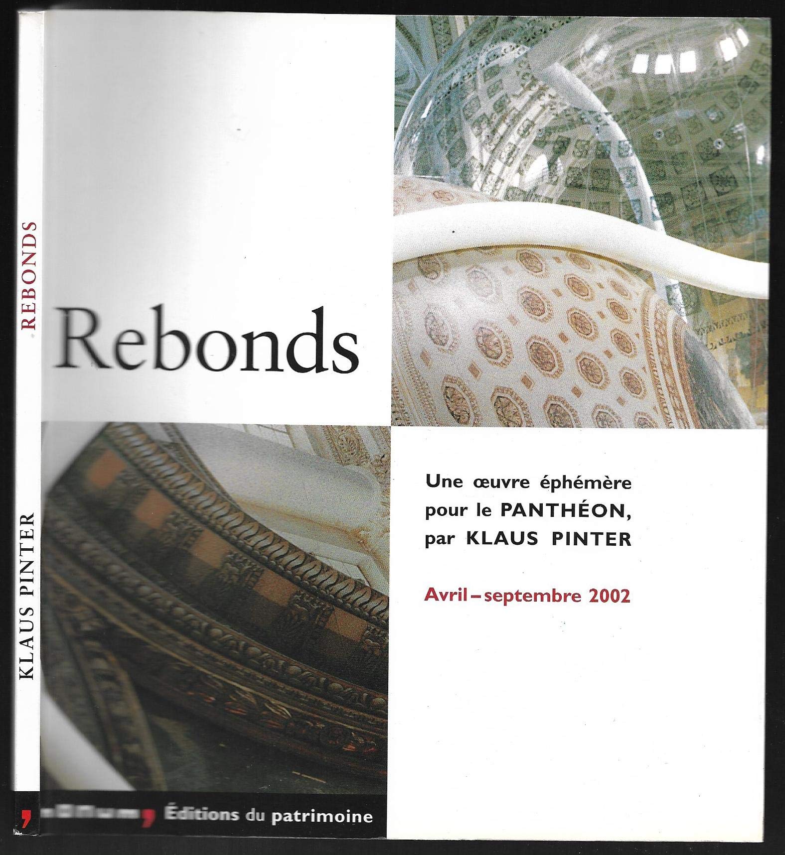 REBONDS une oeuvre éphémère pour le PANTHEON Avril-septembre 2002 Books