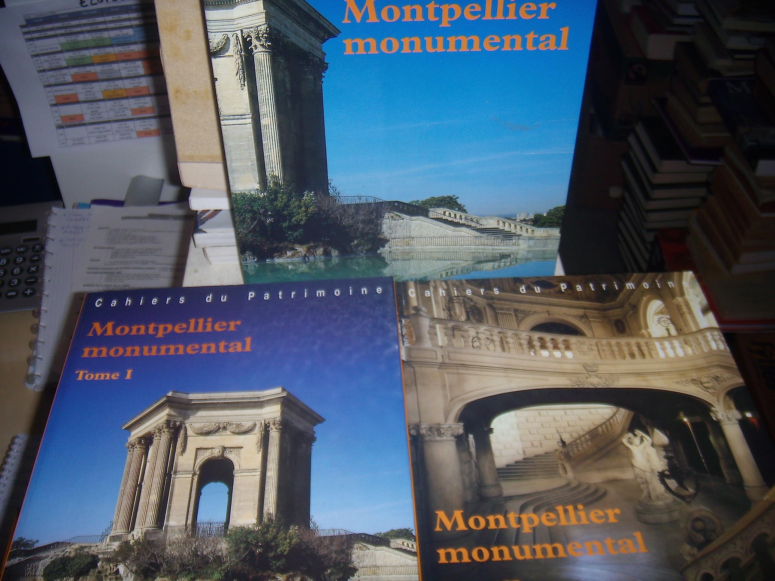 Montpellier monumental: Coffret 2 volumes Books