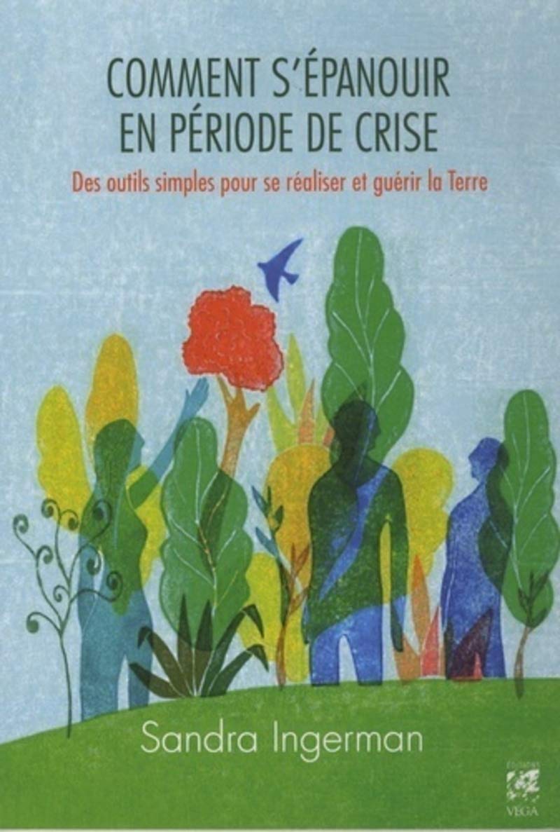 Comment s'épanouir en période de crise: Des outils simples pour se réaliser et guérir la Terre Religion & Esotericism