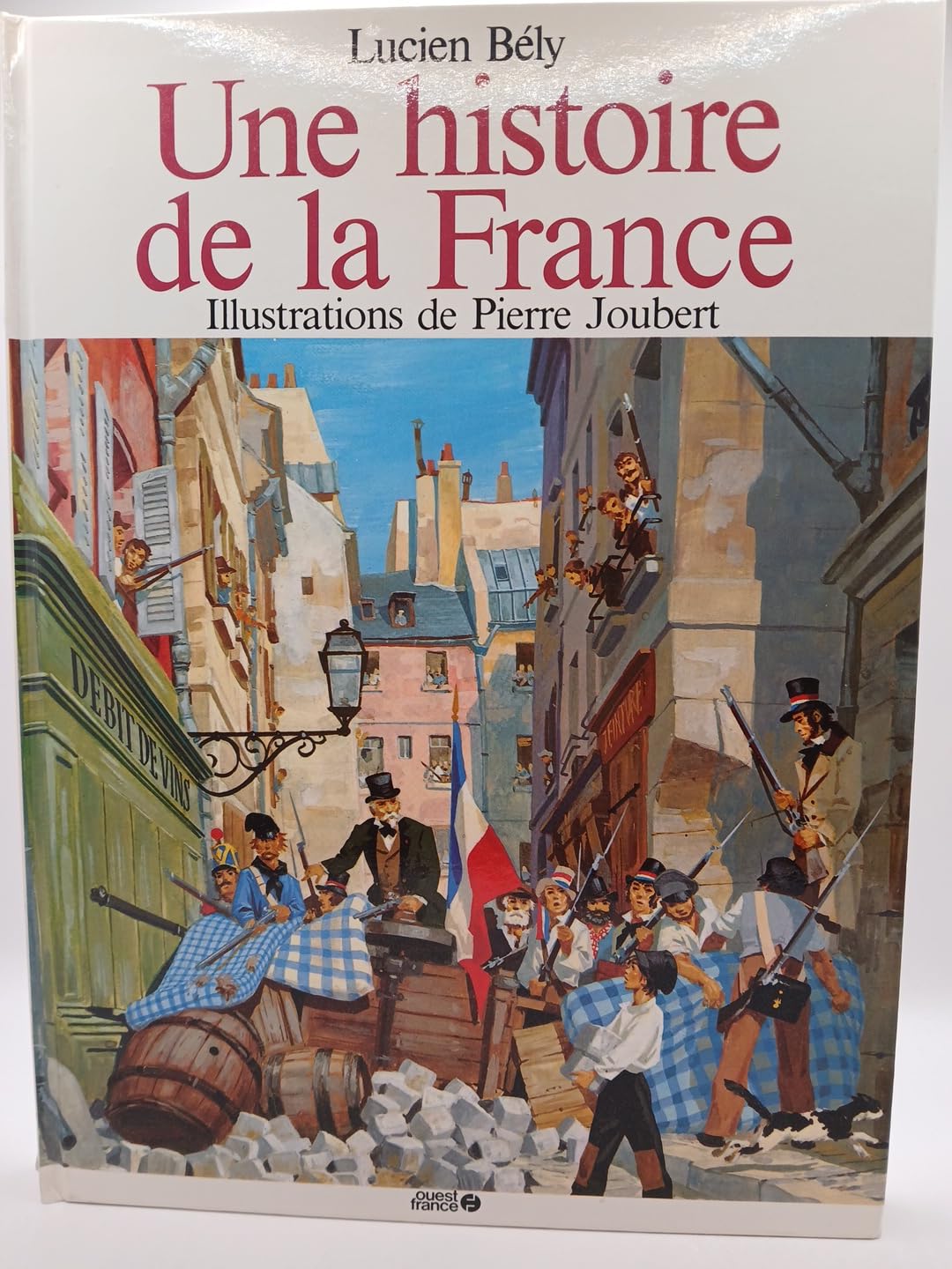 Une Histoire de la France book