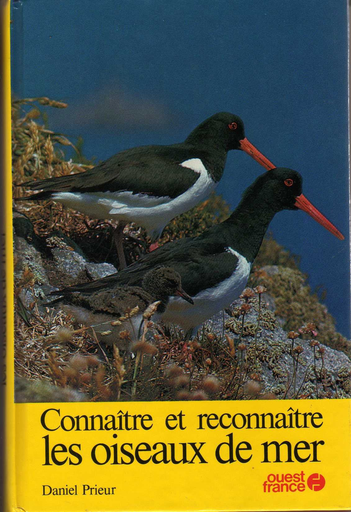 Connaître et reconnaître les oiseaux de mer Books
