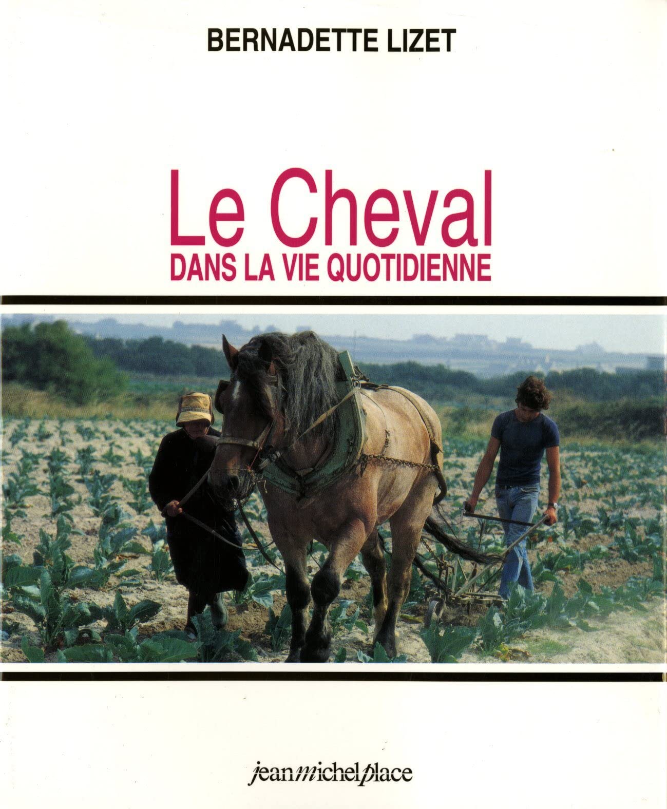 Le cheval dans la vie quotidienne : techniques et représentations du cheval de travail dans l'Europe industrielle book