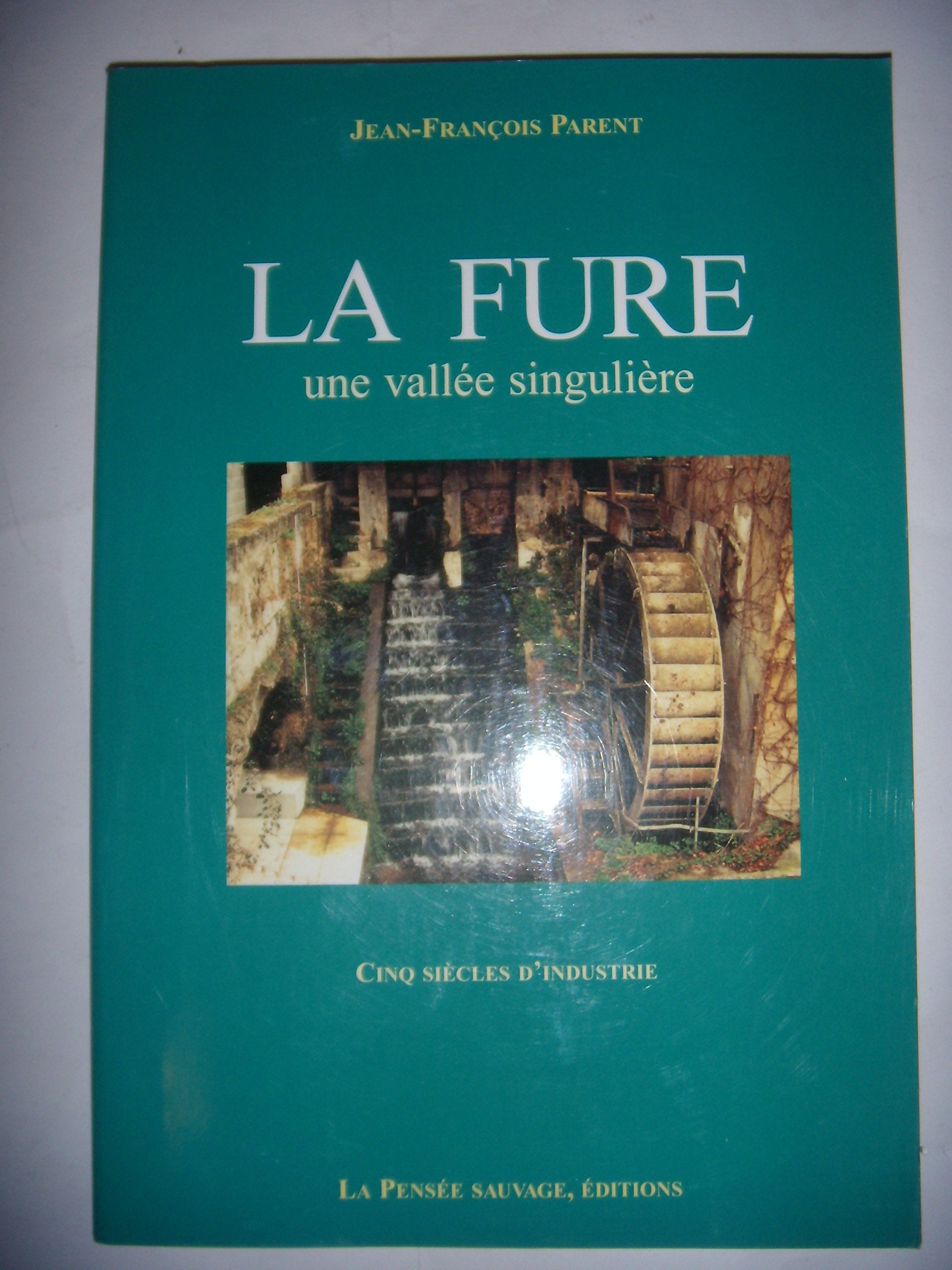 Une fure une vallee singuliere cinq siècles dindustrie book