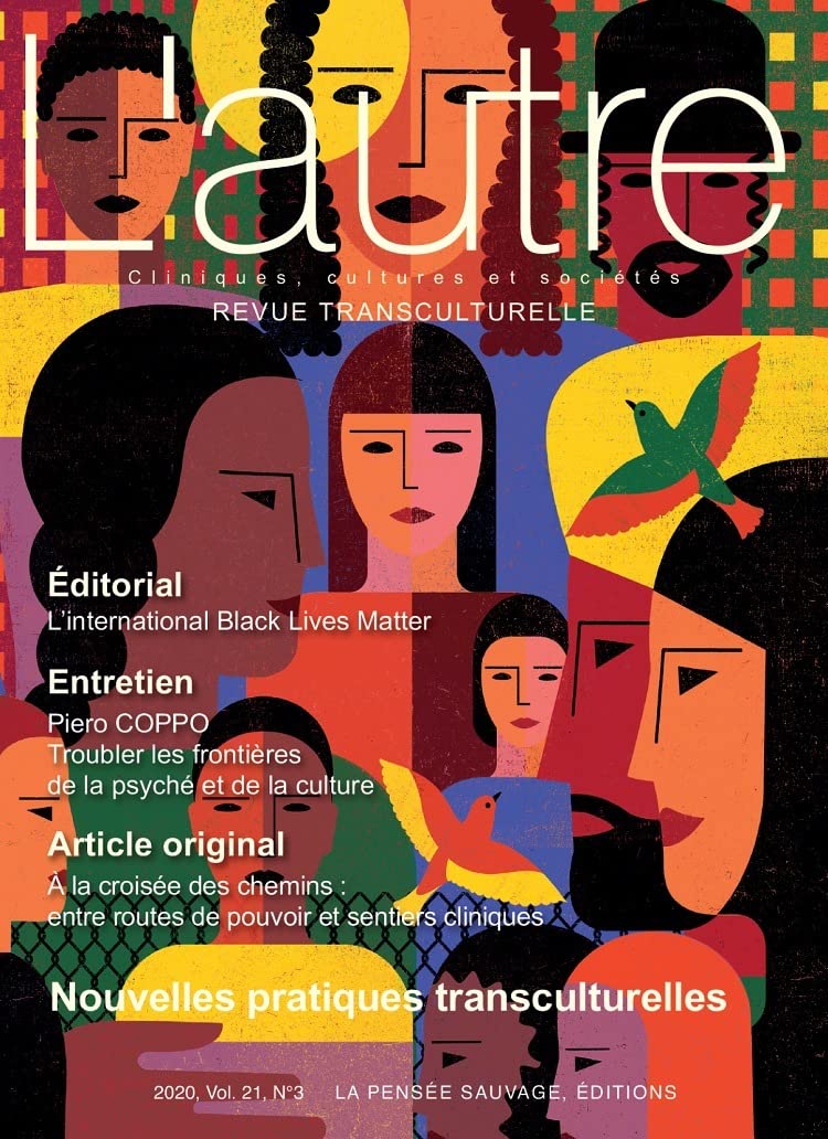 Nouvelles pratiques transculturelles book