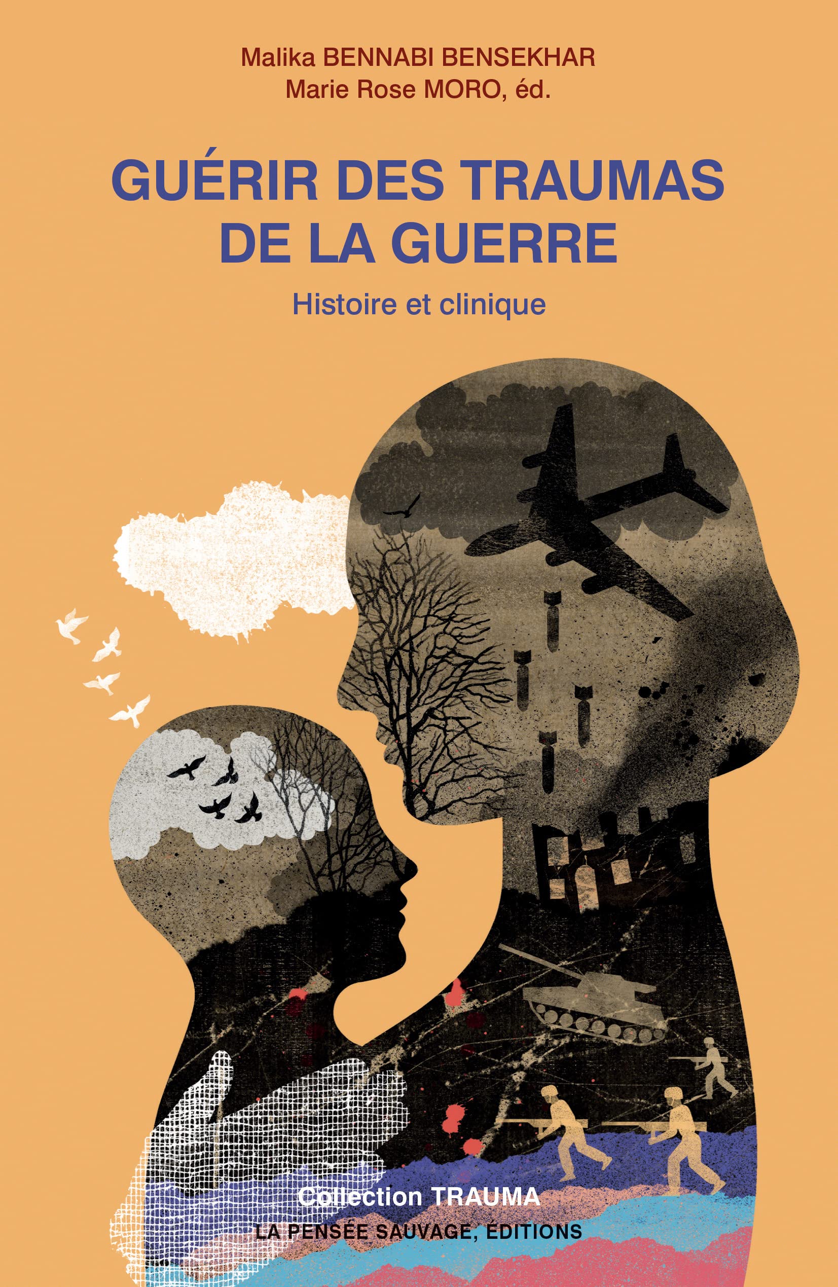 Guérir des traumas de la guerre: Histoire et clinique book