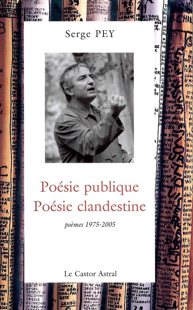 Poésie publique, poésie clandestine - poèmes 1975-2001 book