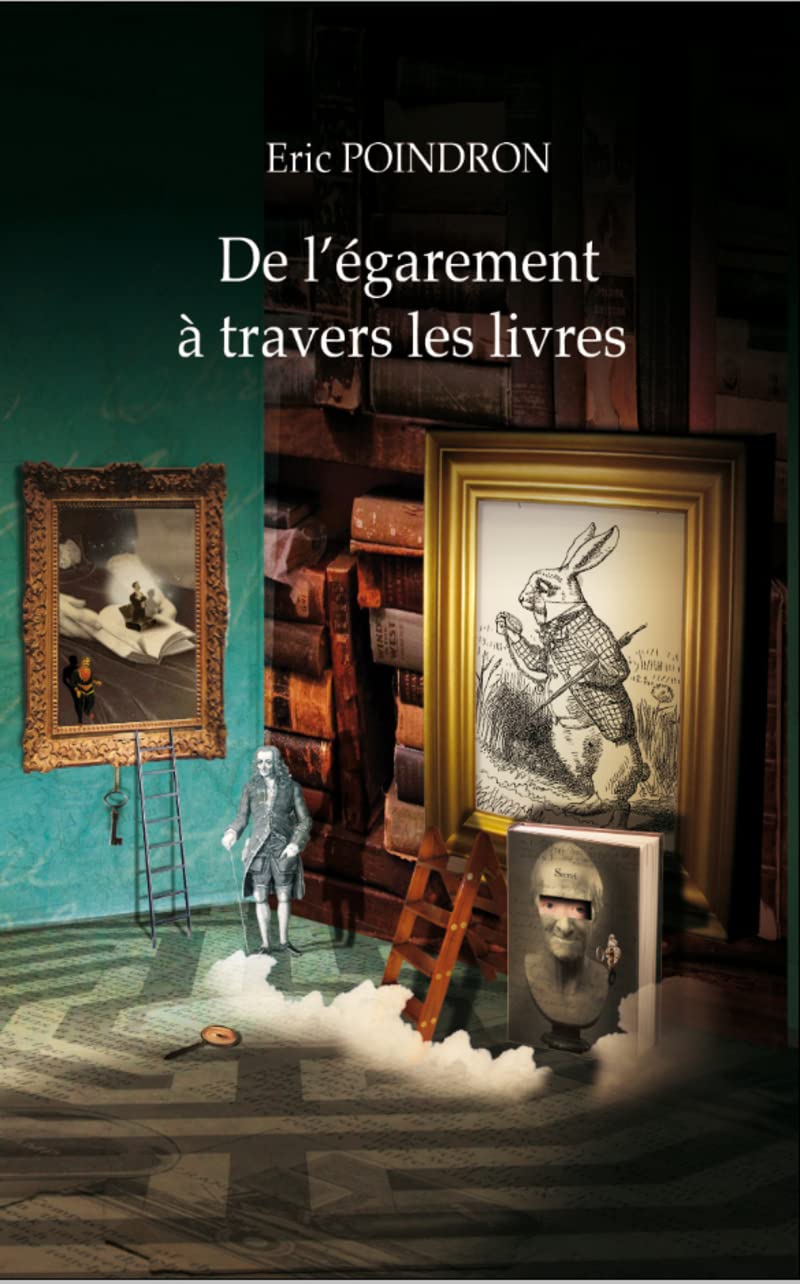 De l'égarement à travers les livres book