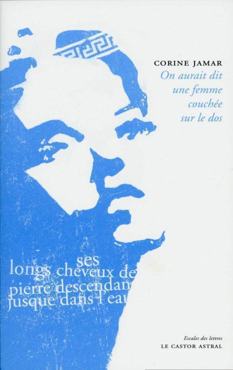 On aurait dit une femme couchée sur le dos book