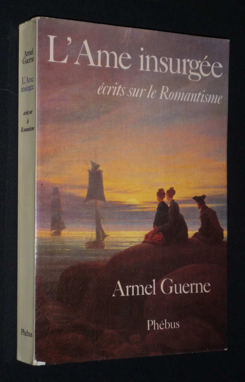 L'Ame insurgée : écrits sur le romantisme book