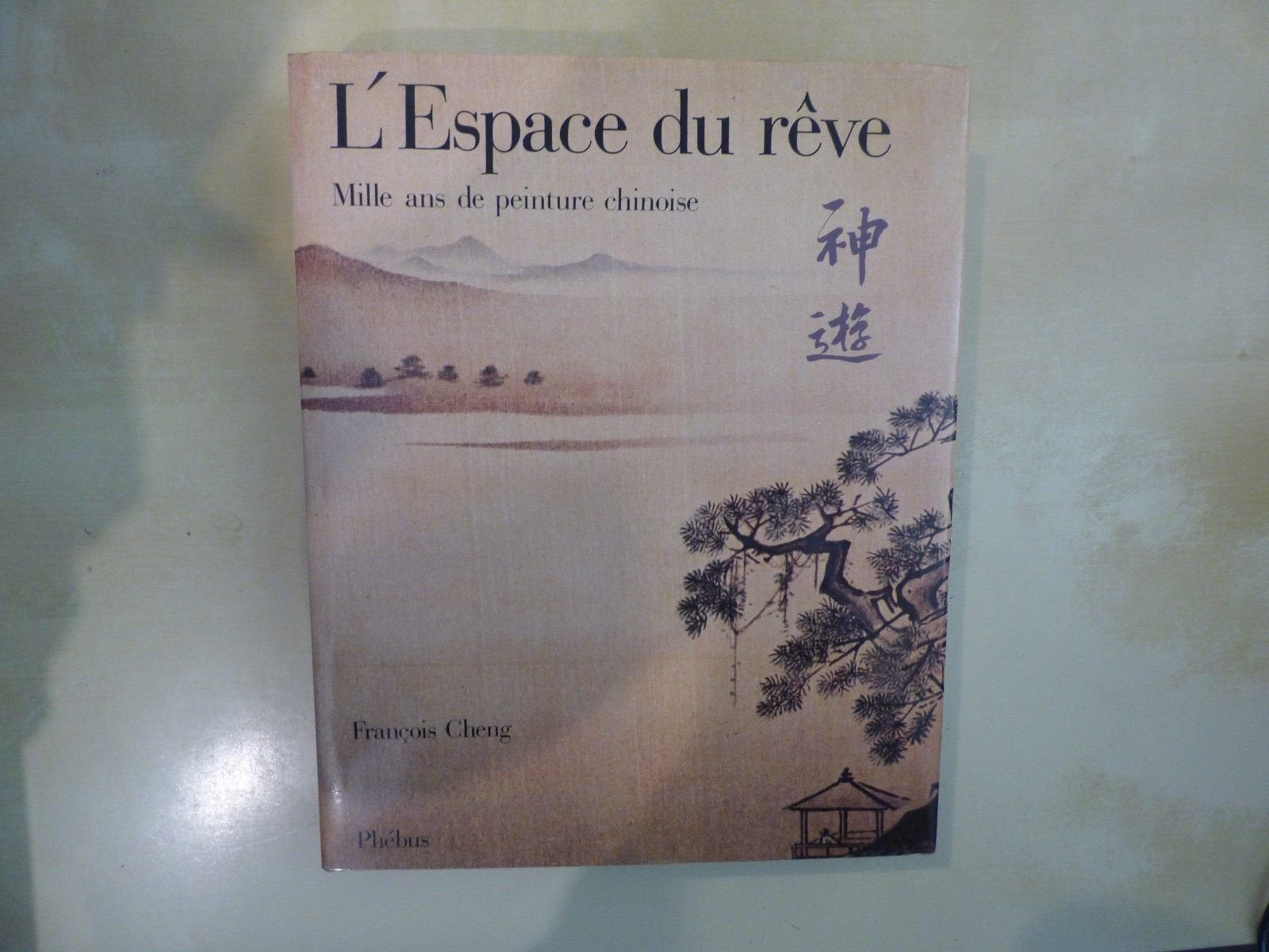 L'Espace du rêve : mille ans de peinture chinoise Books
