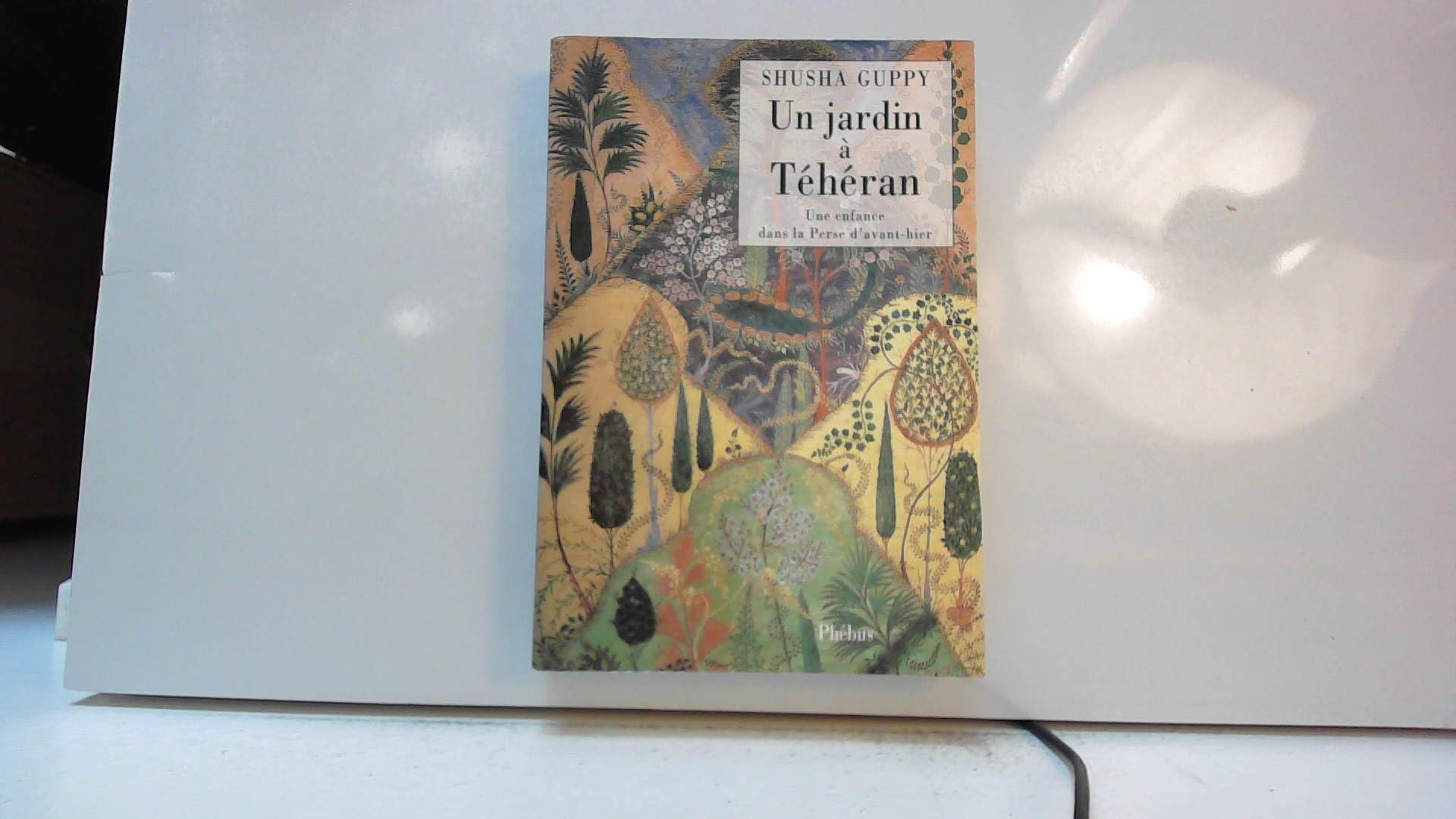UN JARDIN A TEHERAN: UNE ENFANCE DANS LA PERSE D AVANT HIER Contemporary literature