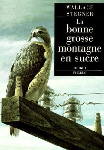LA BONNE GROSSE MONTAGNE EN SUCRE (0000) Contemporary literature