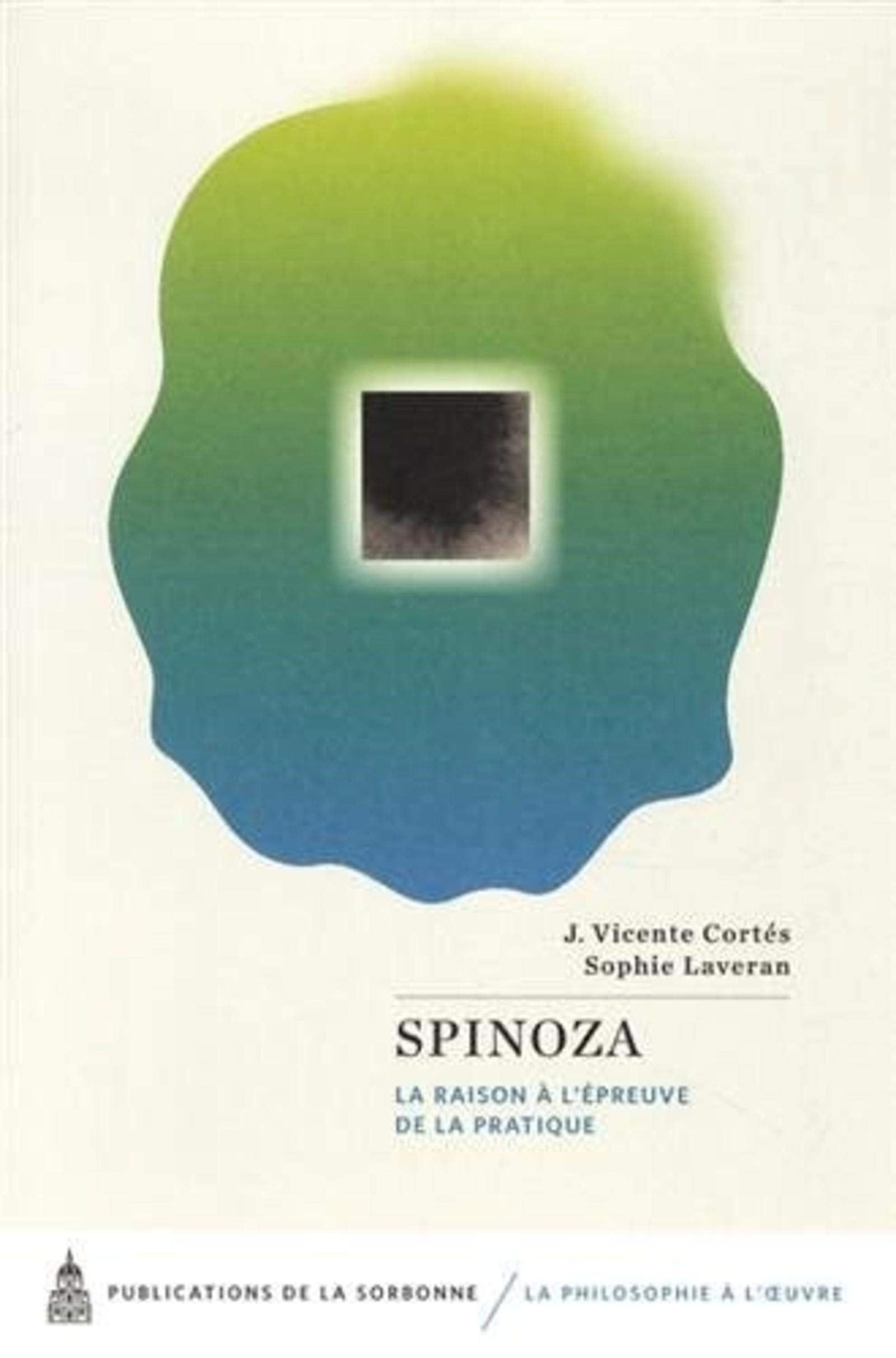 Spinoza: La raison à l'épreuve de la pratique Philosophy