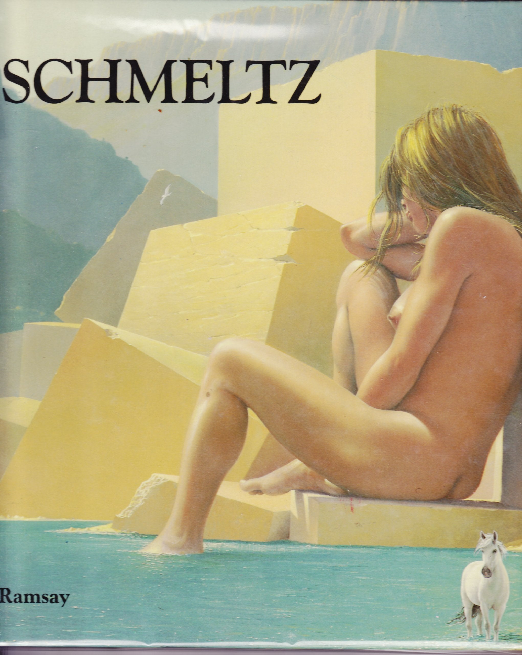 Bruno Schmeltz: Peintures (Visions) (French Edition) Books