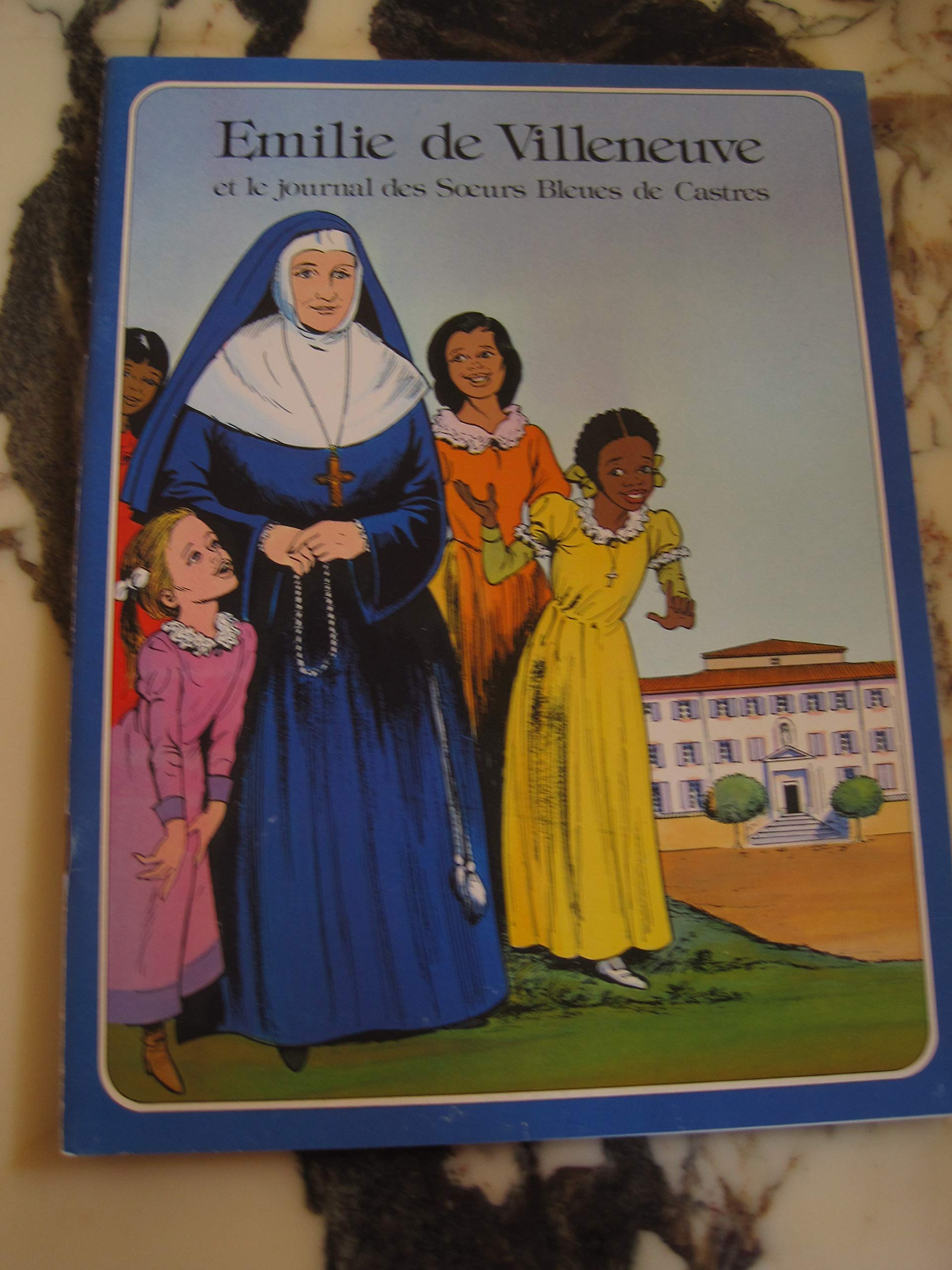 Emilie de Villeneuve : journal des soeurs Bleues de Castres book