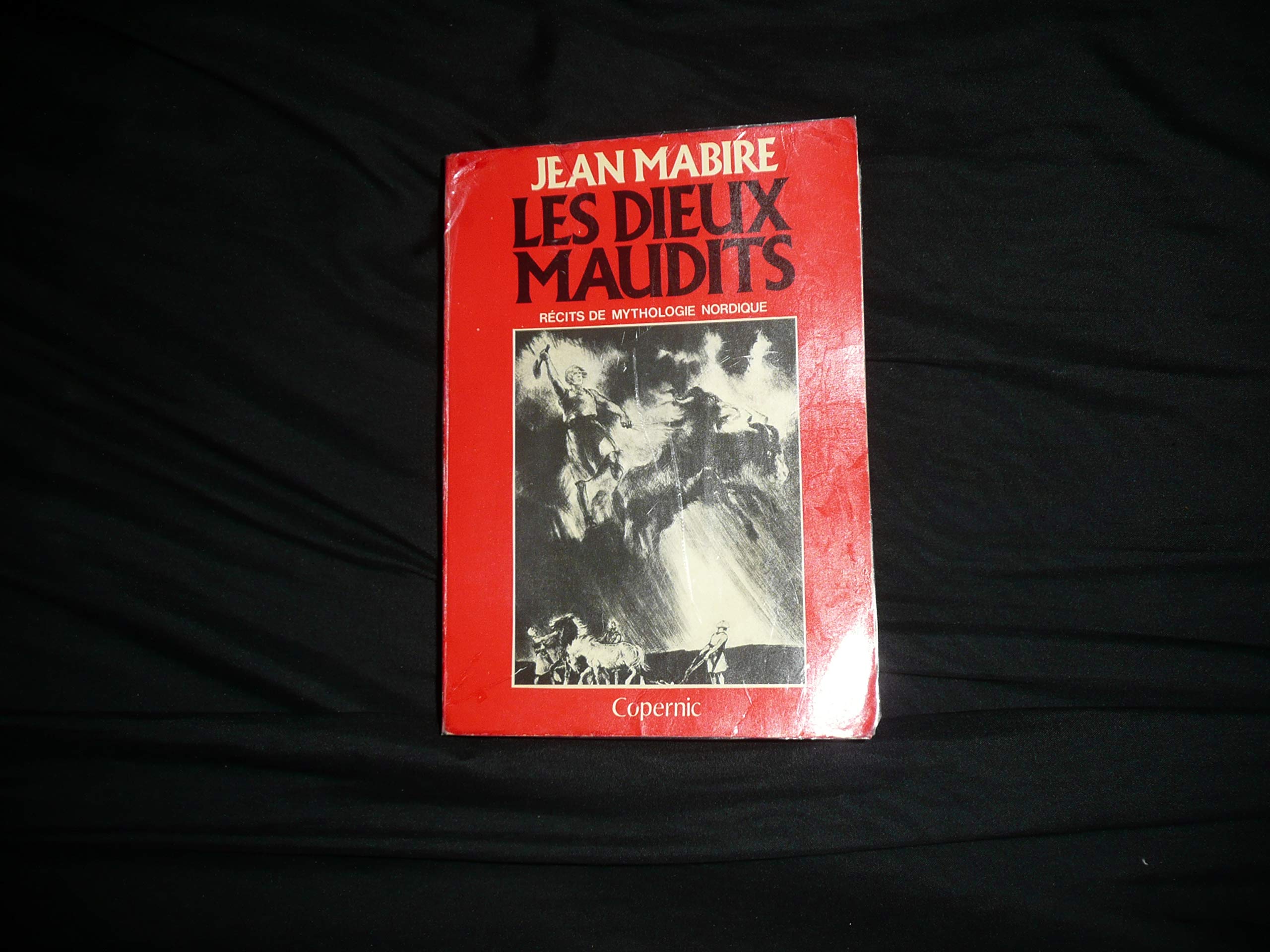 Les dieux maudits: Récits de mythologie nordique Books