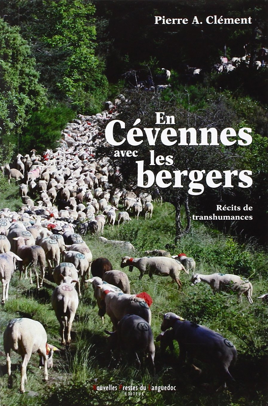 En Cévennes avec les bergers - récits de transhumances Politics & History