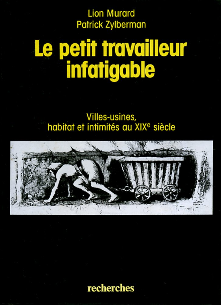 Le petit travailleur infatigable : villes-usines, habitat et intimités au 19e siècle book