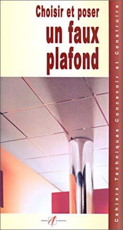 Choisir Et Poser Un Faux Plafond Books